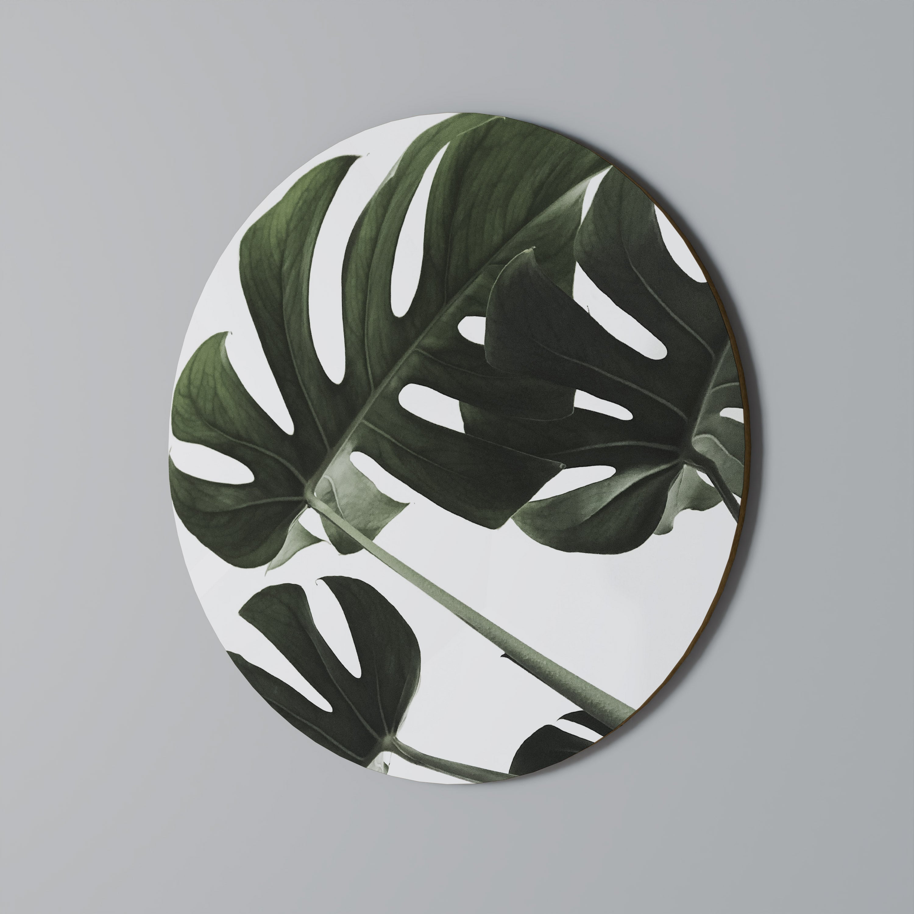 FOLIAGE FUSION Runde Wanddekoration Ø 69 cm