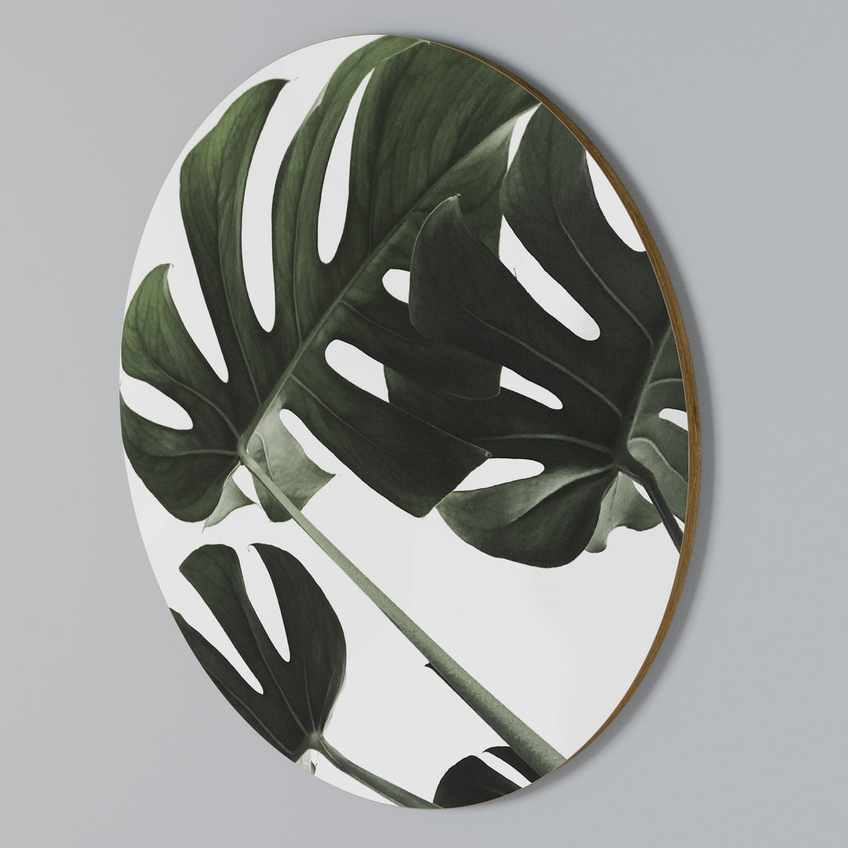 FOLIAGE FUSION Rundes Wandbild