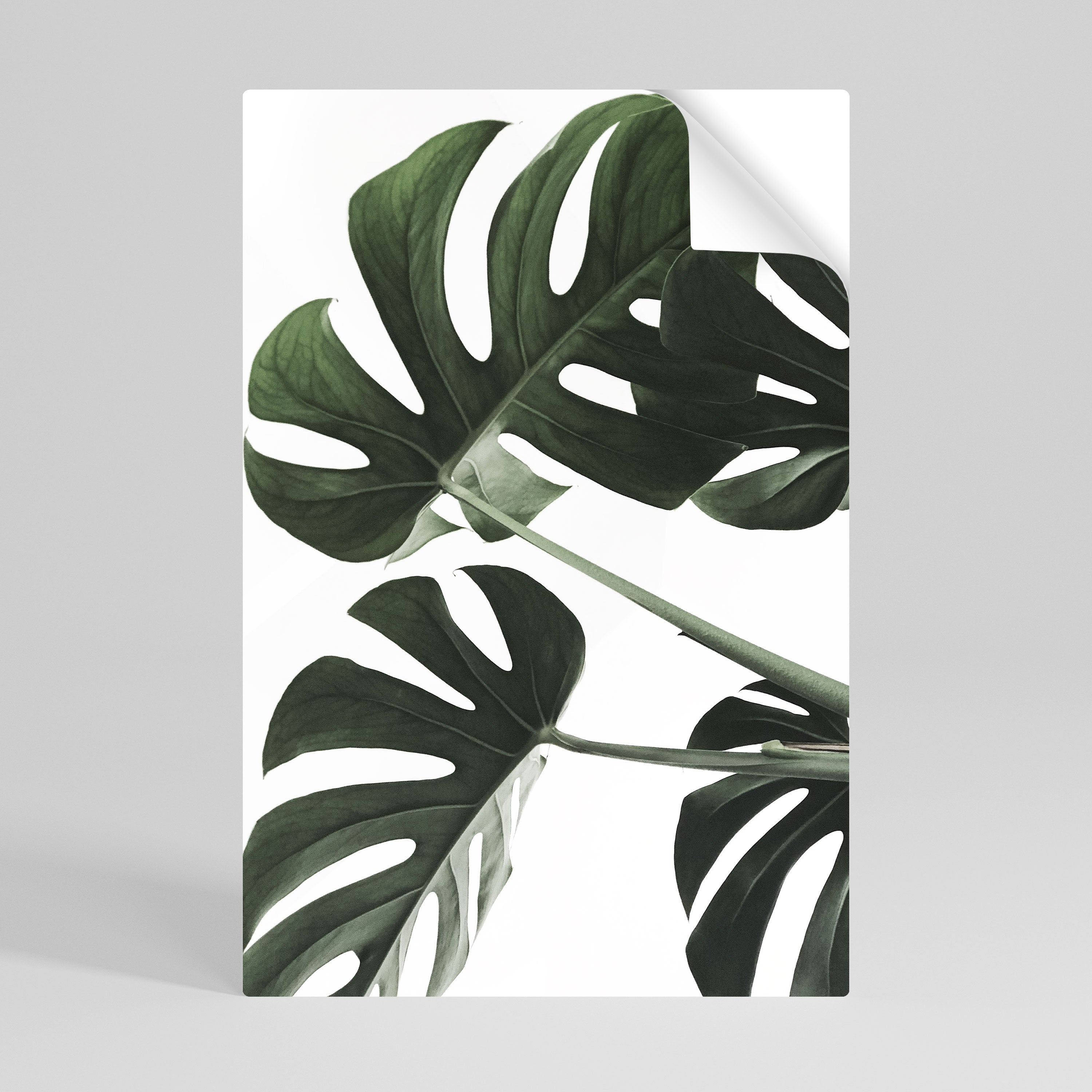 FOLIAGE FUSION Vertikales Poster zum Abziehen und Aufkleben