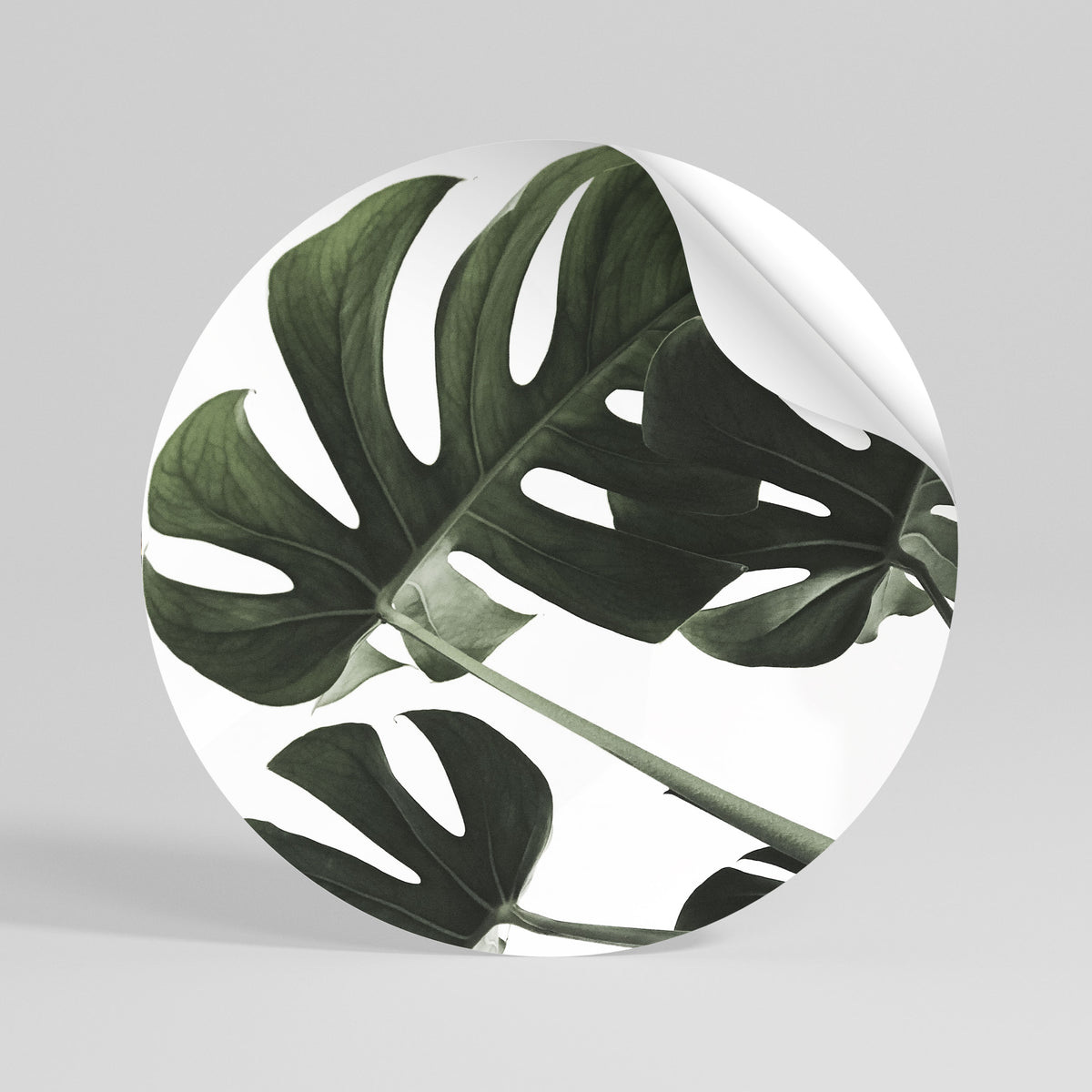 FOLIAGE FUSION Runder Wandsticker zum Abziehen und Aufkleben