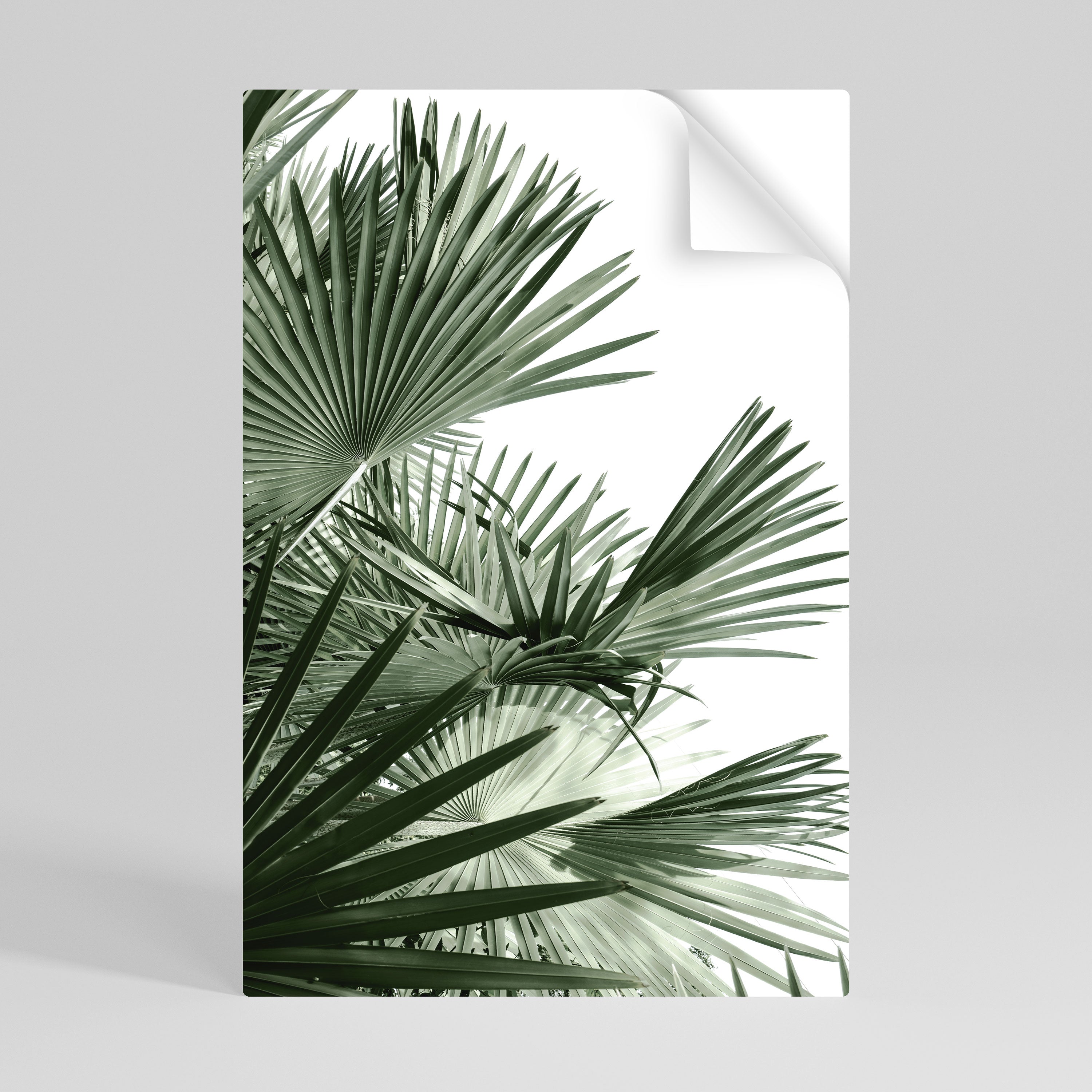 PALM PARADISE DANCE Vertikales Poster zum Abziehen und Aufkleben