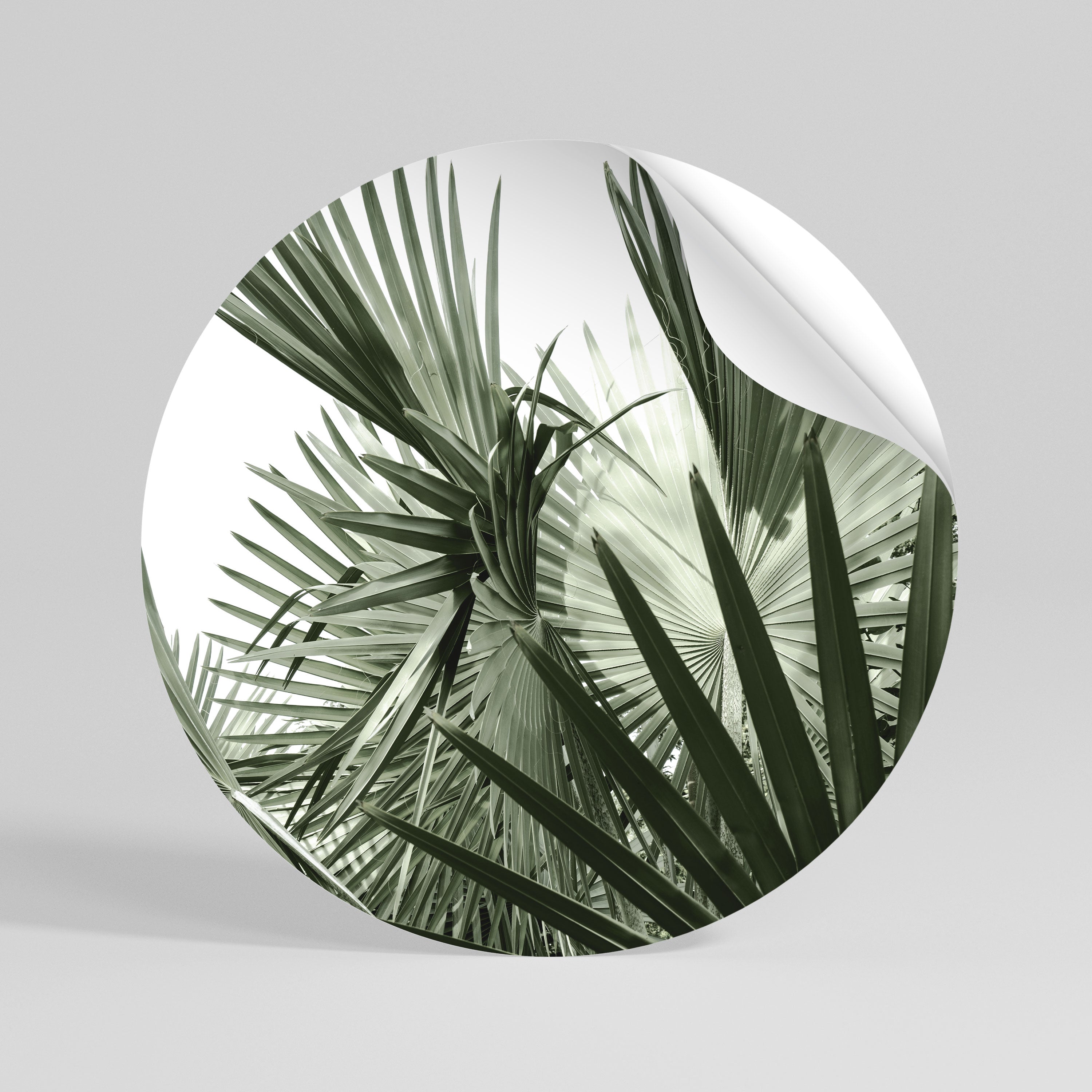 PALM PARADISE DANCE Peel and Stick Round Sticker