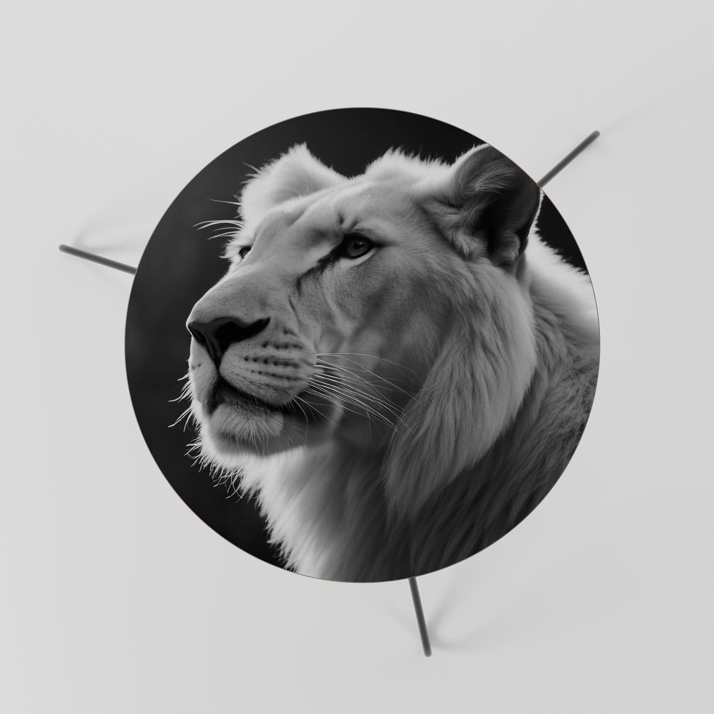 WHISPERS OF MAJESTY Couchtisch 60