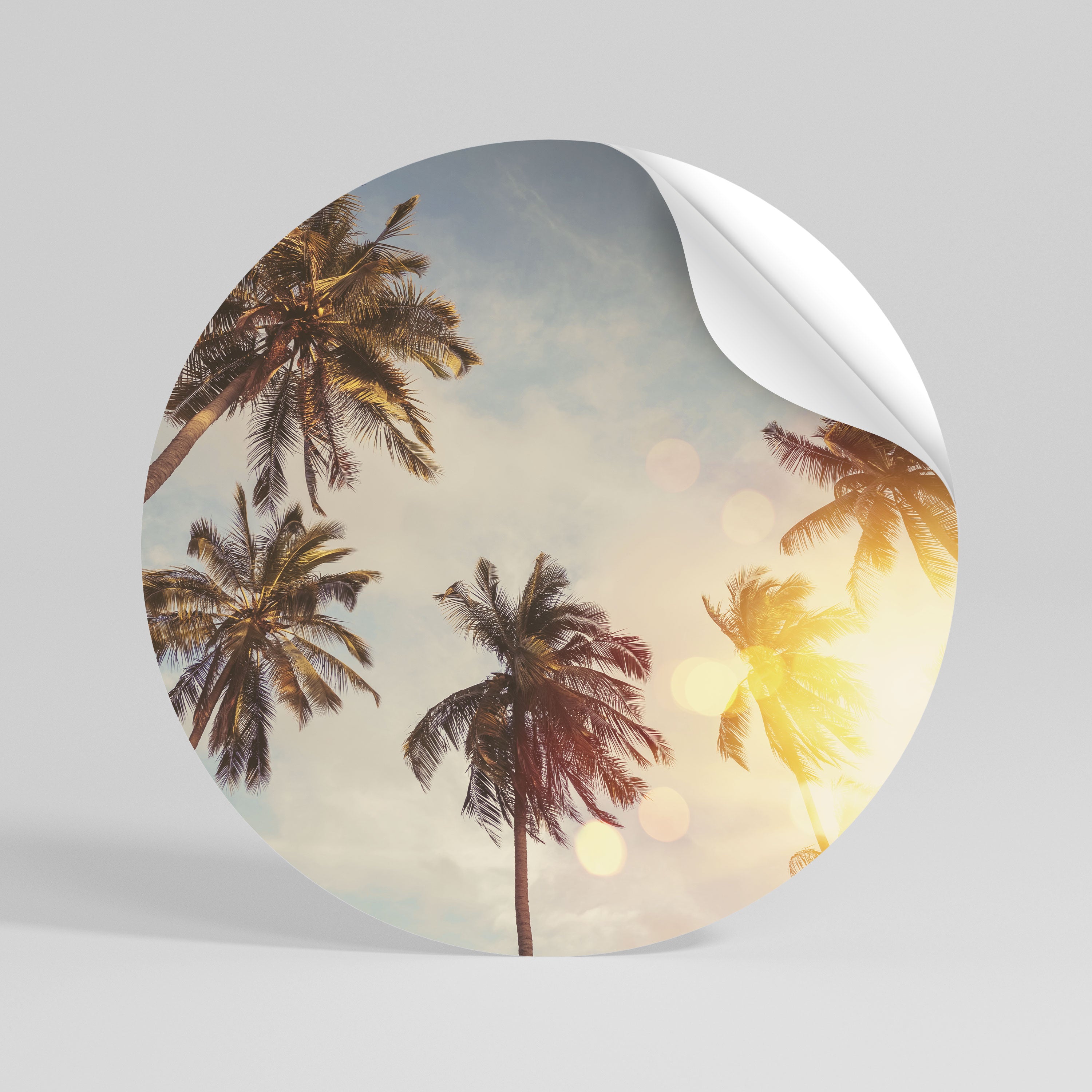 WHISPERING PALM LEAVES Peel and Stick Round Sticker