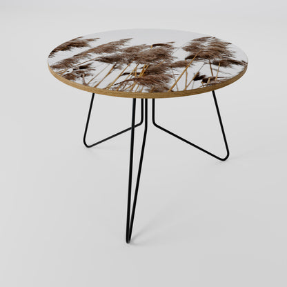 DANCE OF REEDS Couchtisch