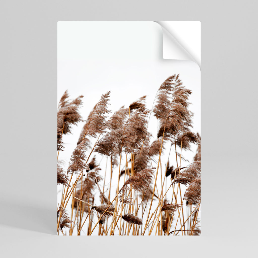 DANCE OF REEDS Vertikales Poster zum Abziehen und Aufkleben