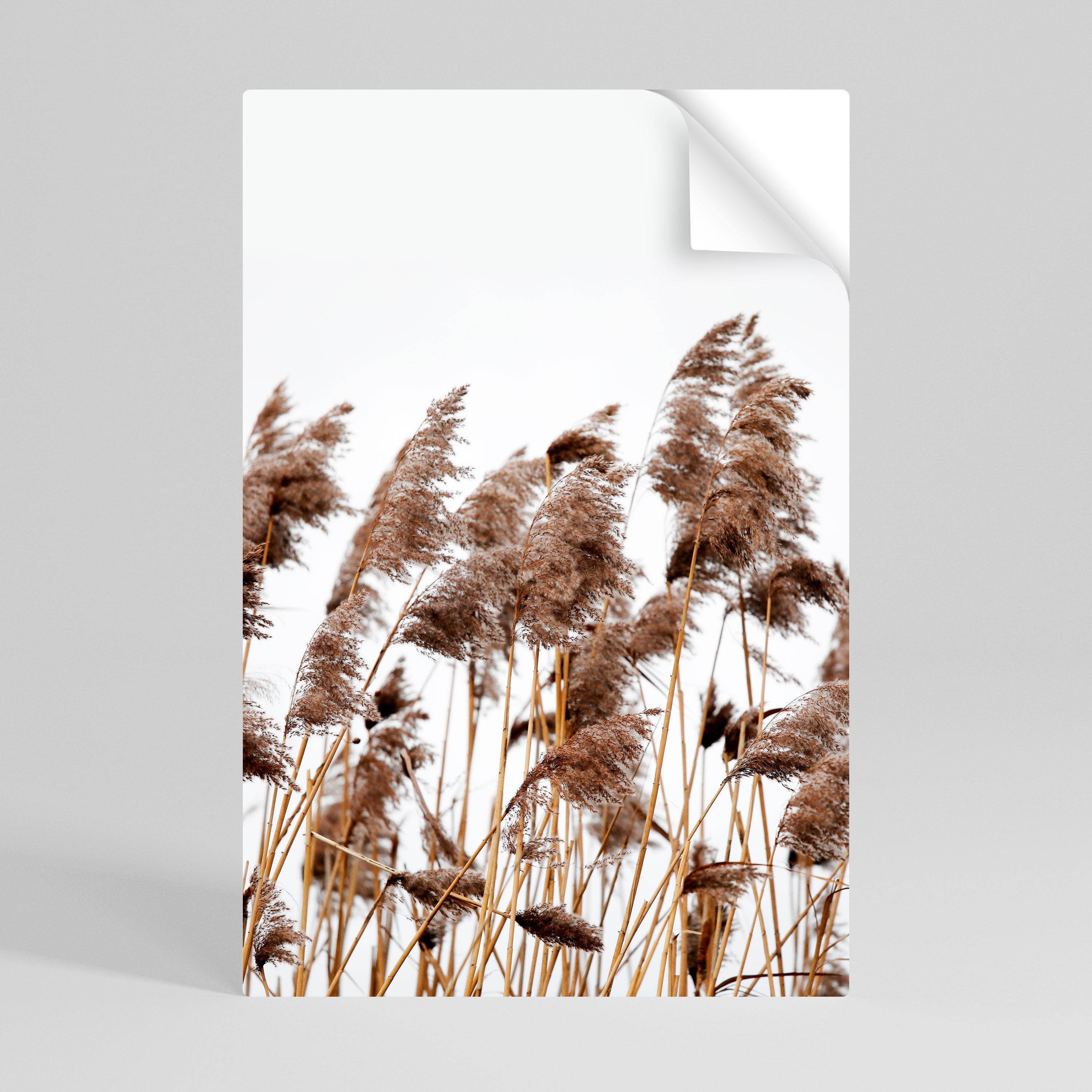 DANCE OF REEDS Vertikales Poster zum Abziehen und Aufkleben