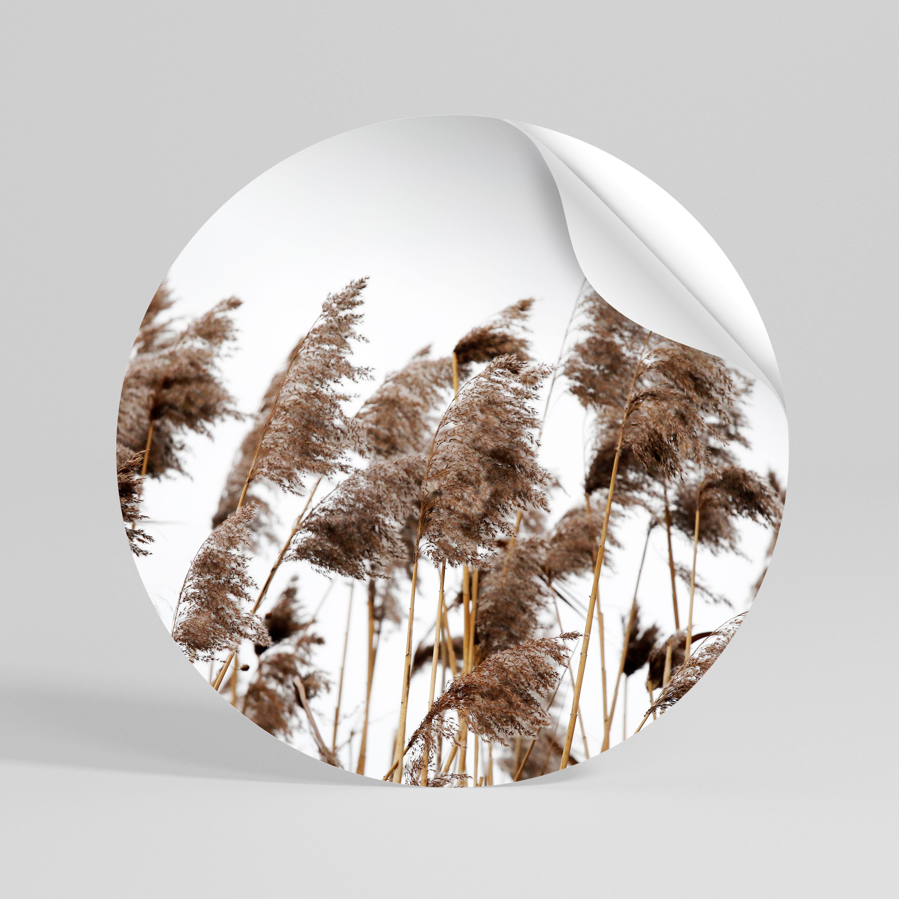 DANCE OF REEDS Peel and Stick Round Sticker