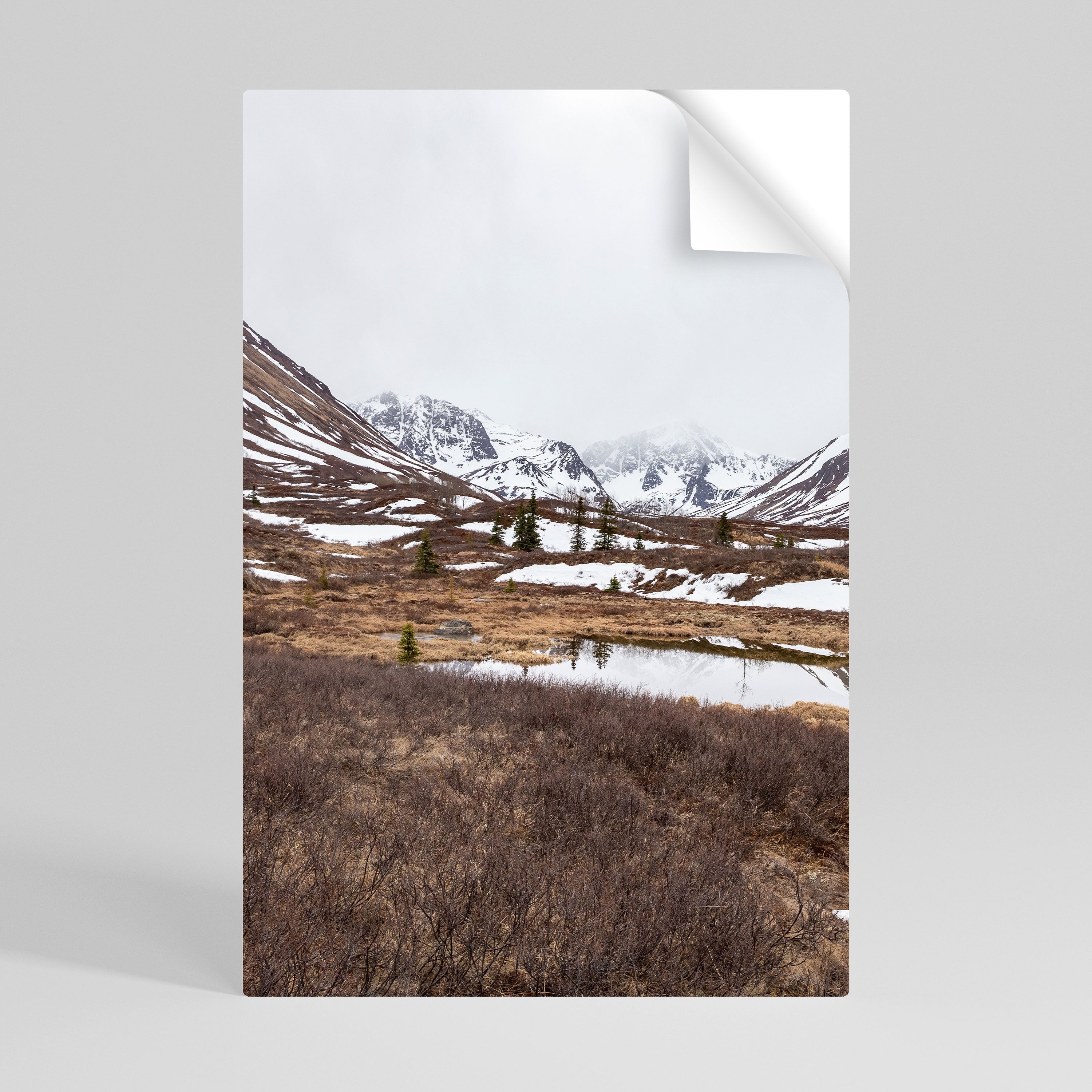 ECHOES OF WINTER Vertikales Poster zum Abziehen und Aufkleben