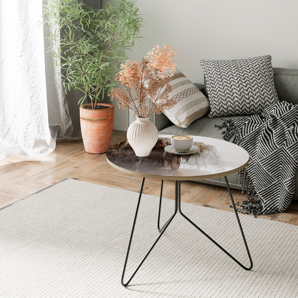 MAMMOTH HOT SPRINGS Coffee Table 69