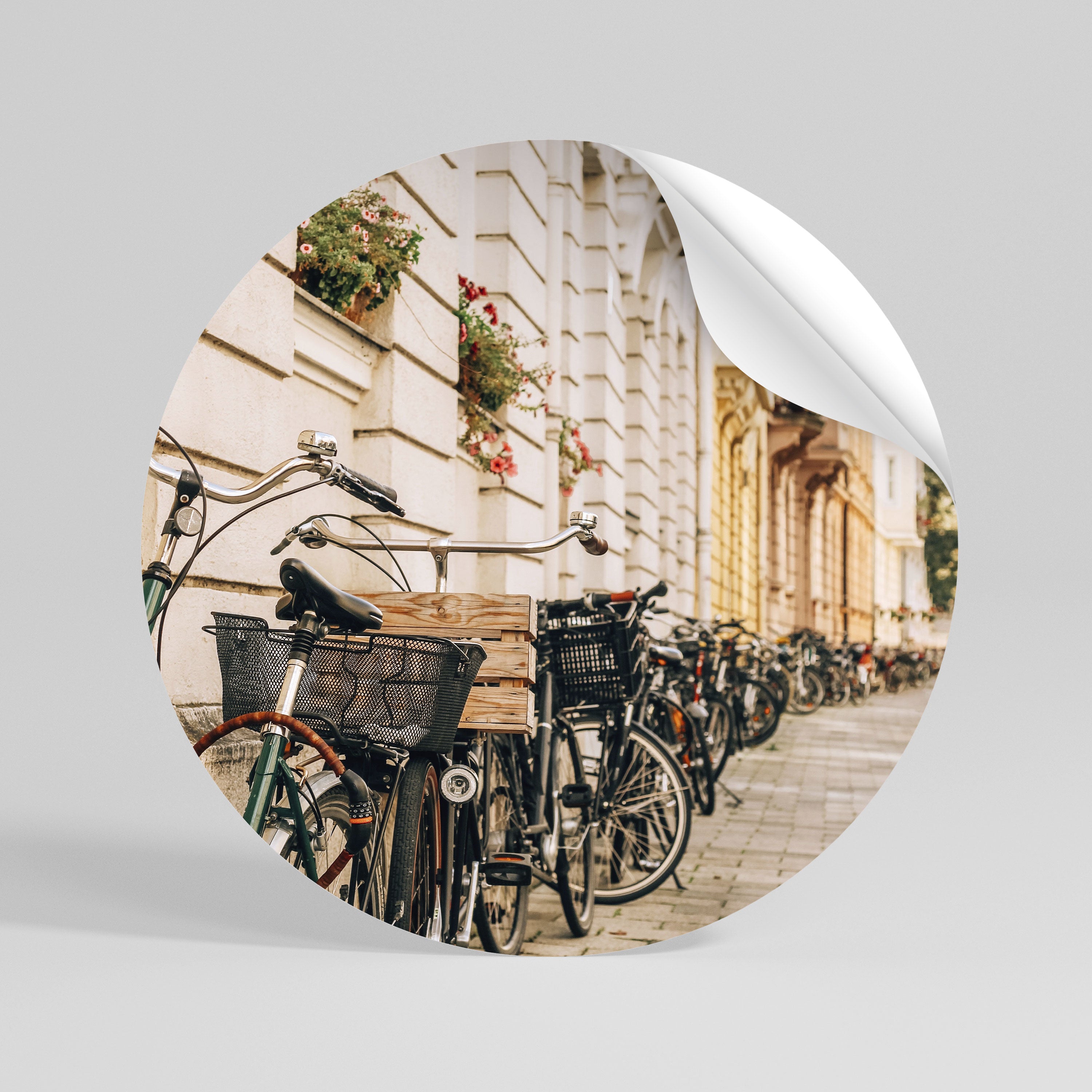 URBAN CYCLE HAVEN Peel and Stick Round Sticker