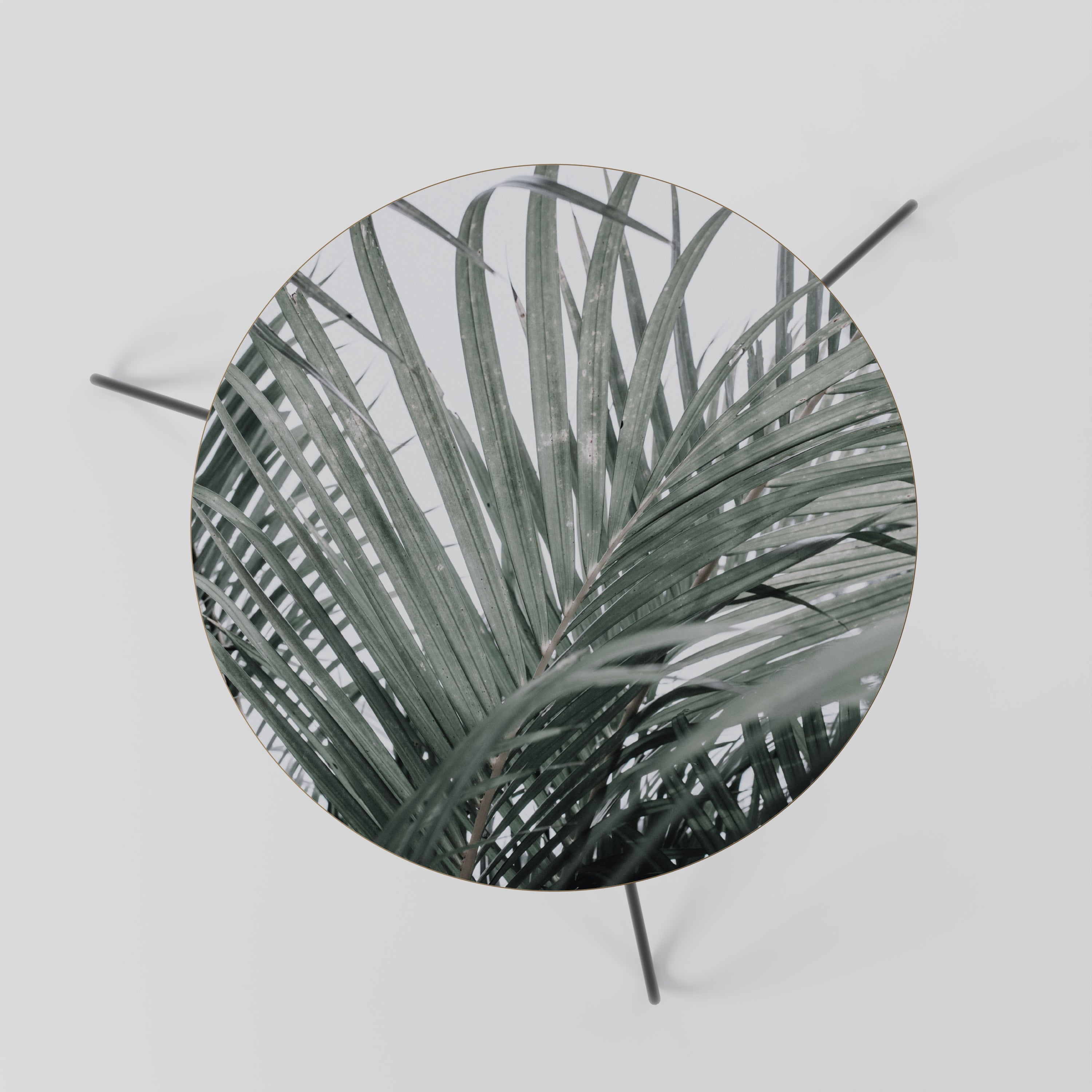 PALM WHISPERS Couchtisch 60