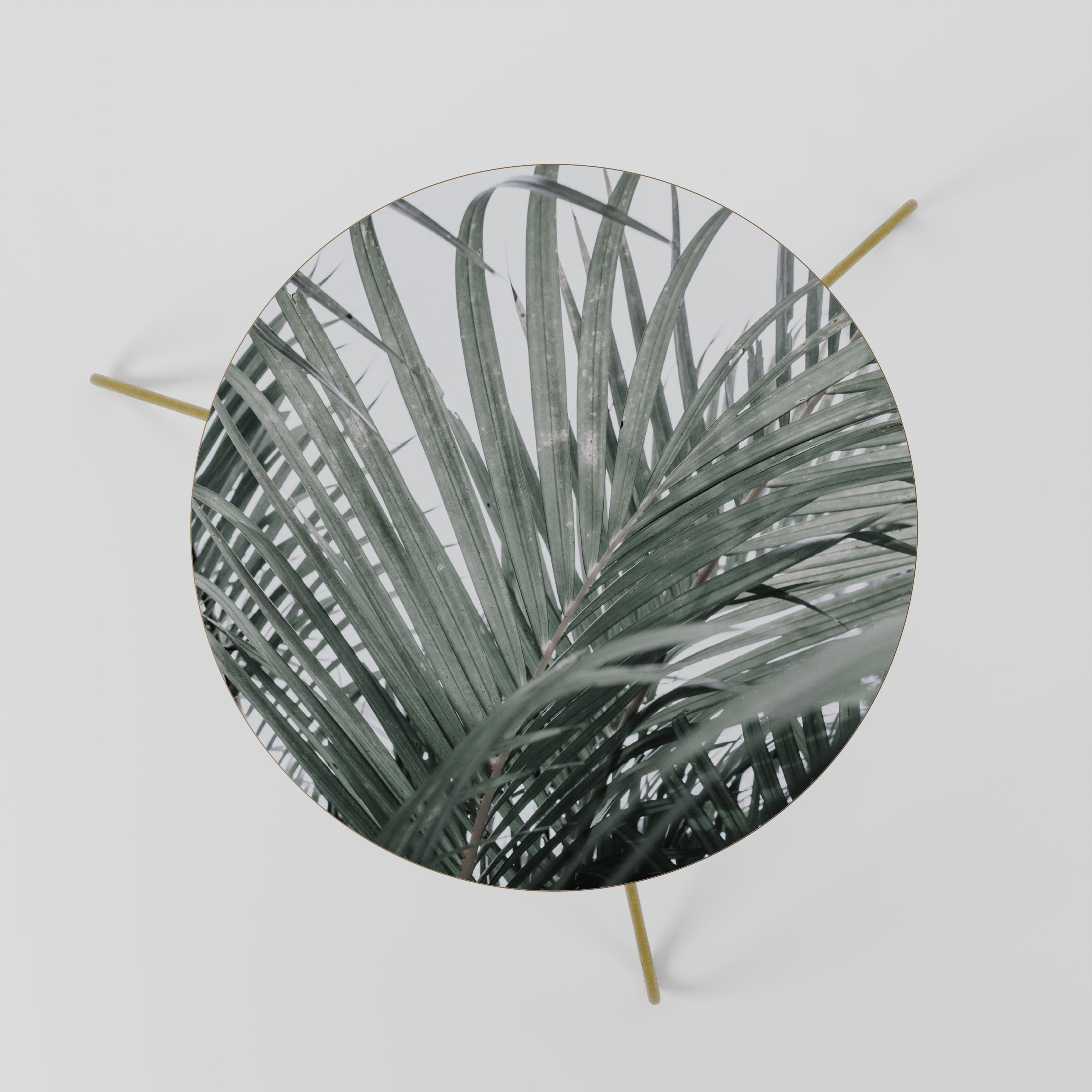 PALM WHISPERS Couchtisch 60