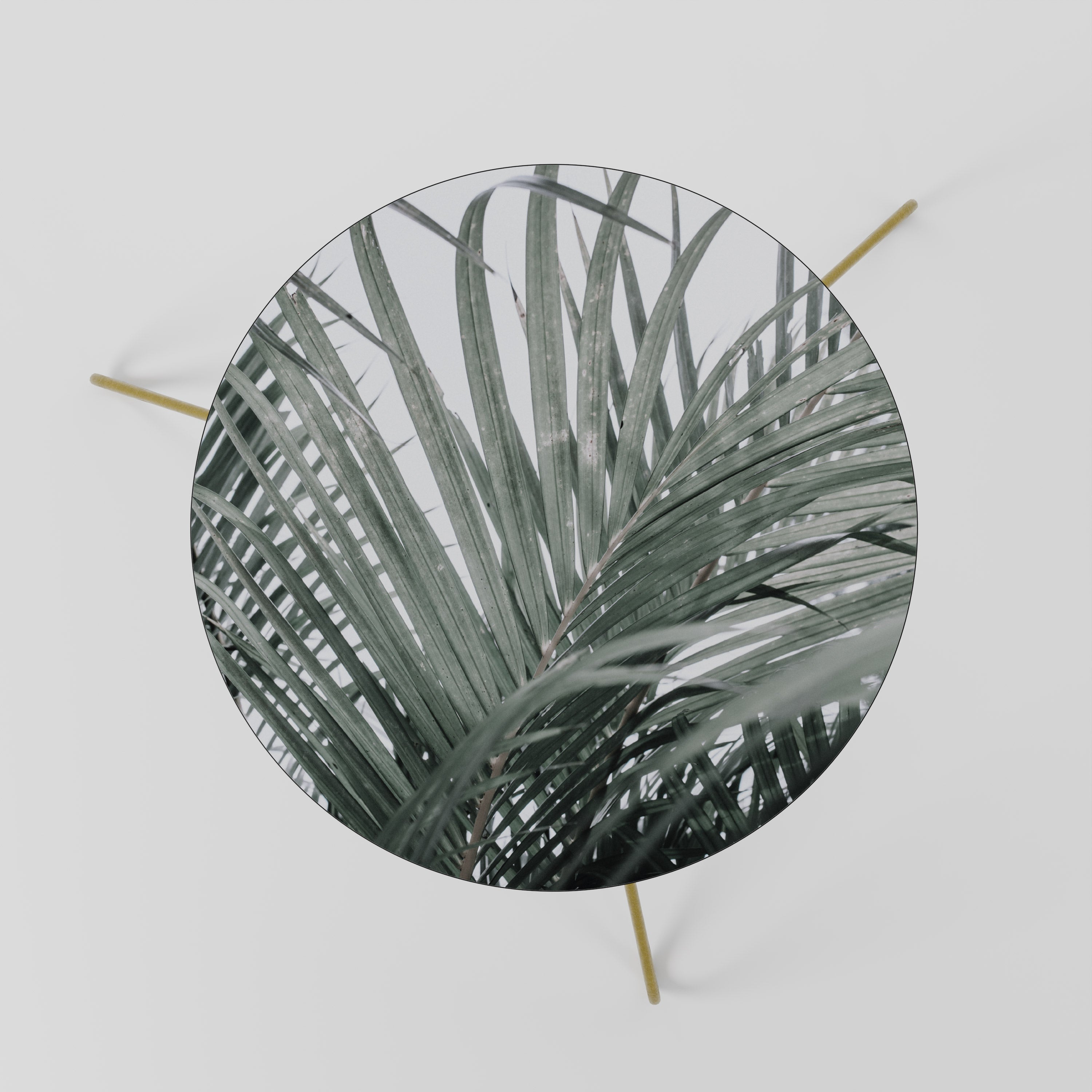 PALM WHISPERS Couchtisch 60