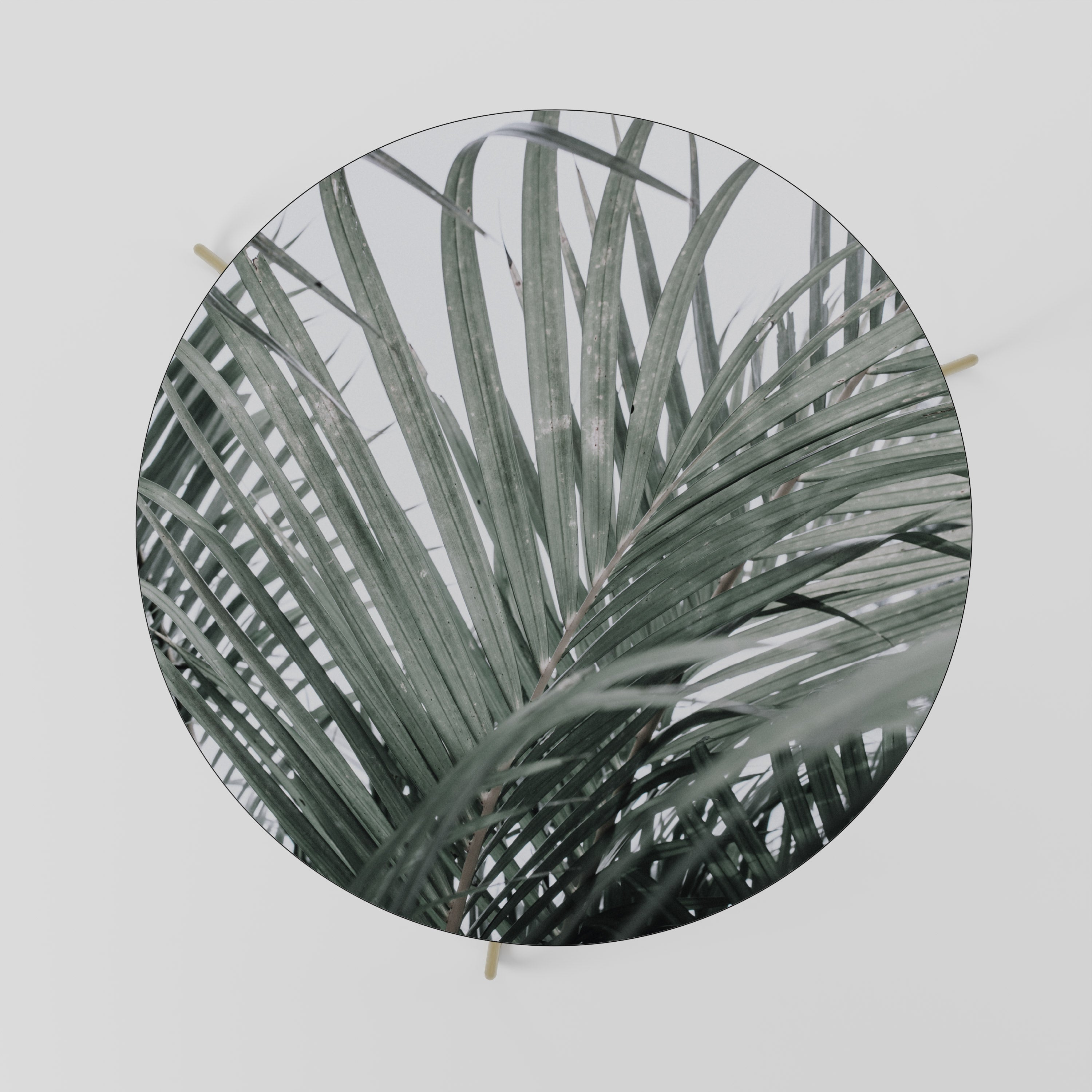 PALM WHISPERS Coffee Table 69