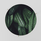 LUSH DROPLET DANCE Couchtisch Ø 69 cm