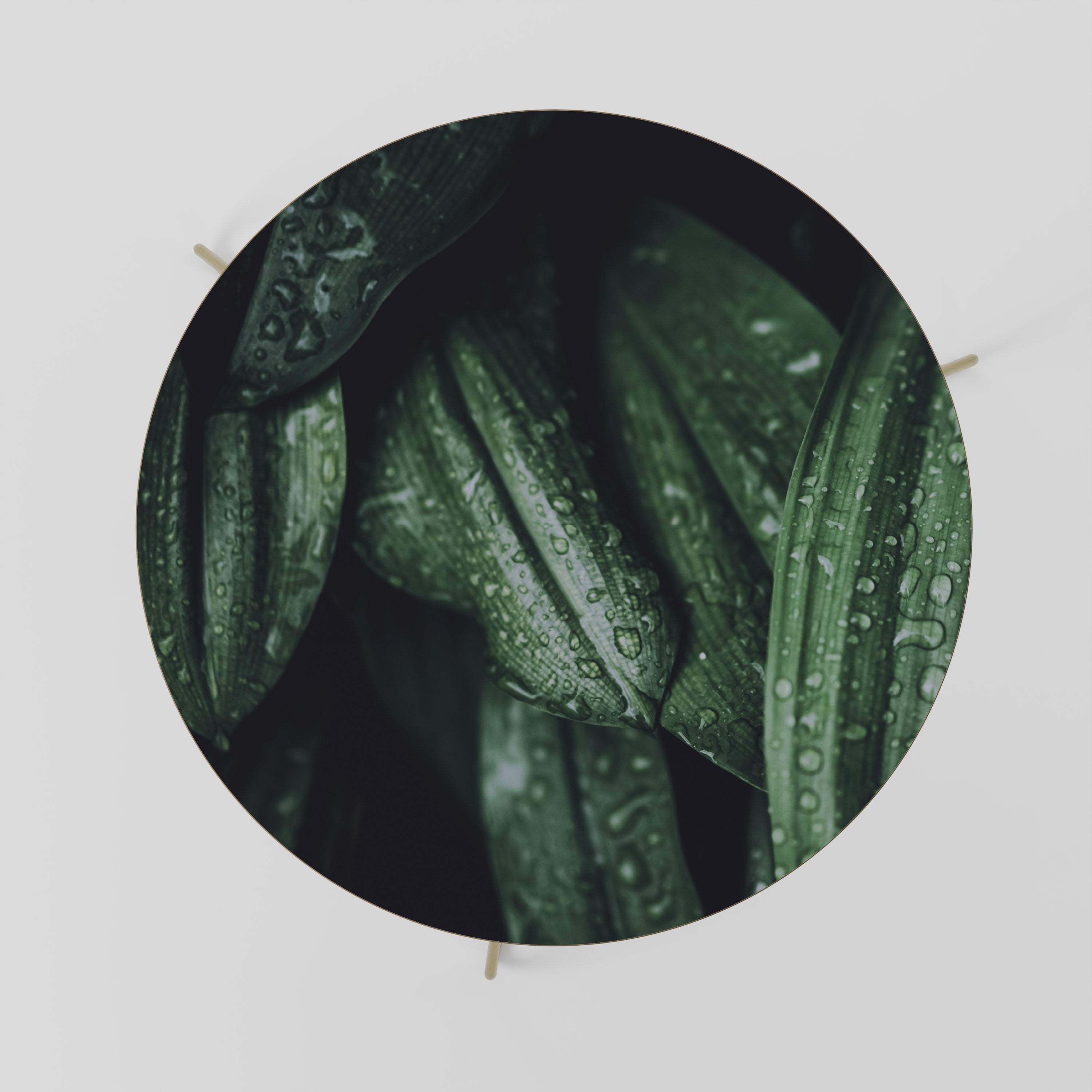 LUSH DROPLET DANCE Coffee Table 69