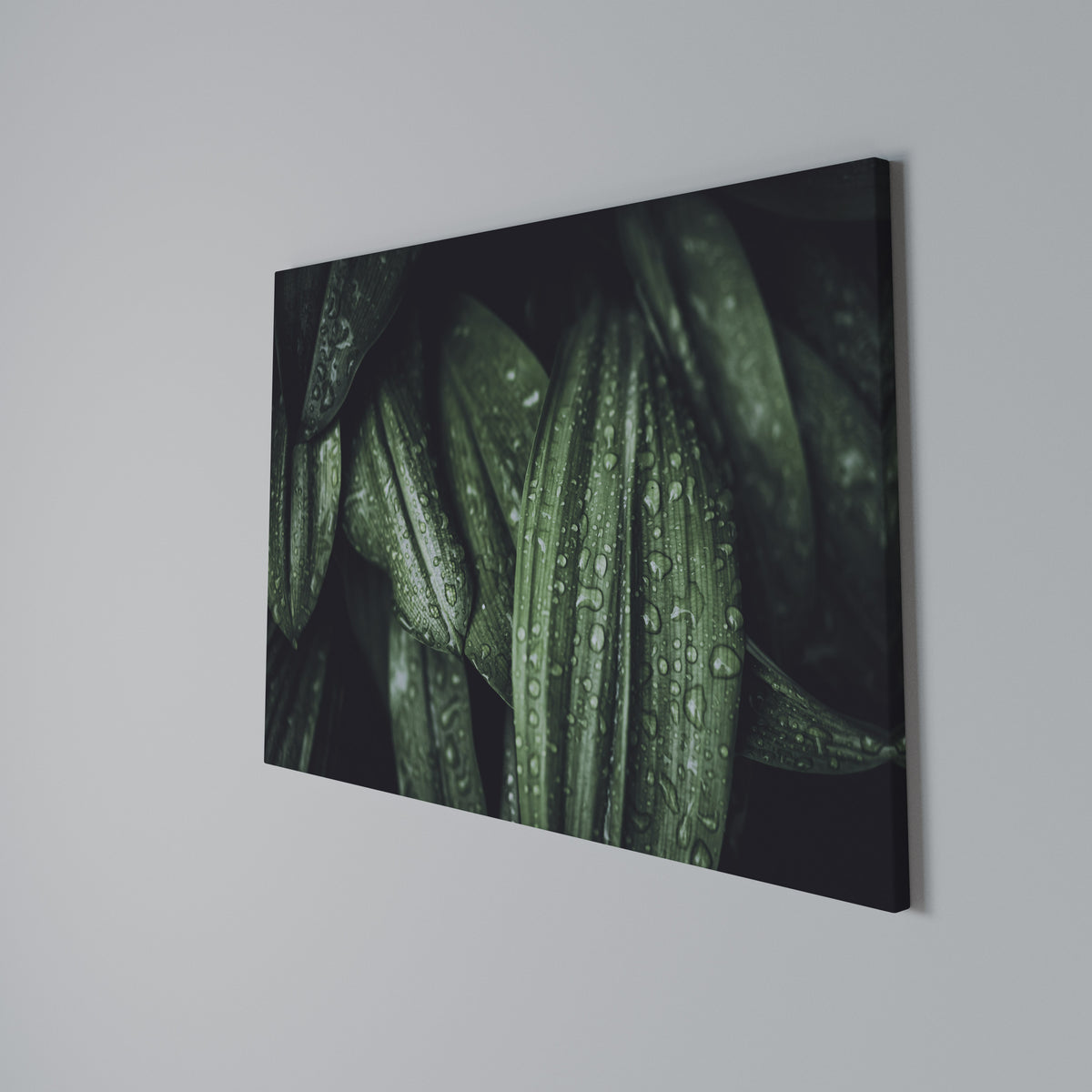 LUSH DROPLET DANCE Horizontal Canvas Print