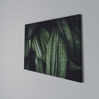 LUSH DROPLET DANCE Horizontal Canvas Print