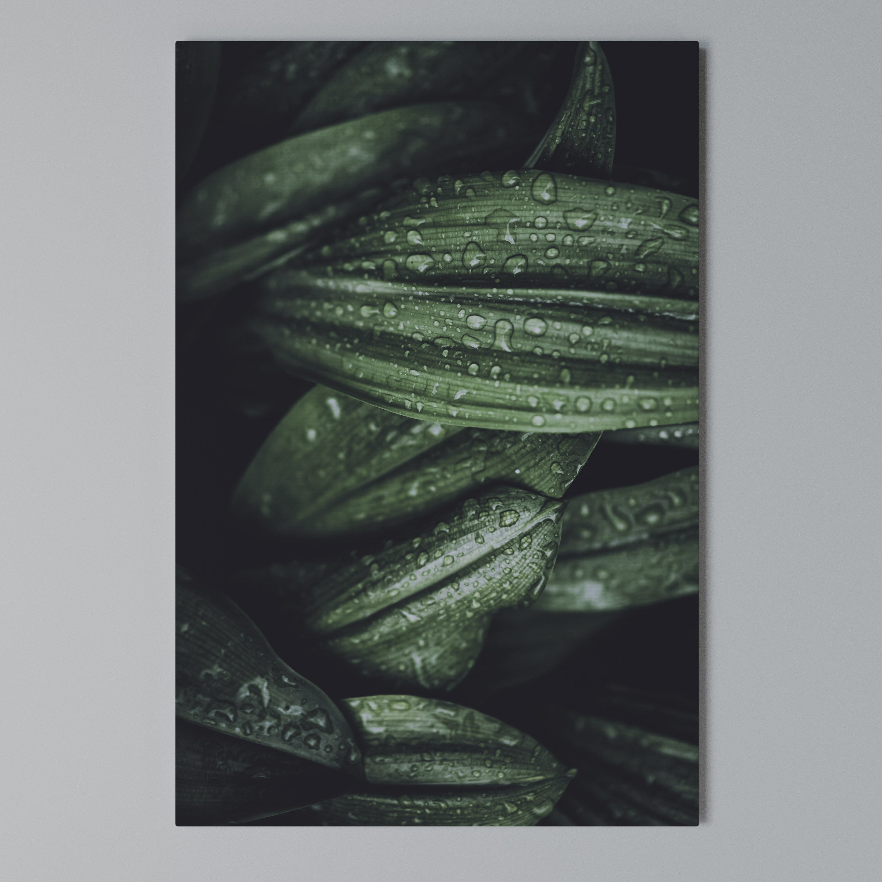 LUSH DROPLET DANCE Vertical Canvas Print