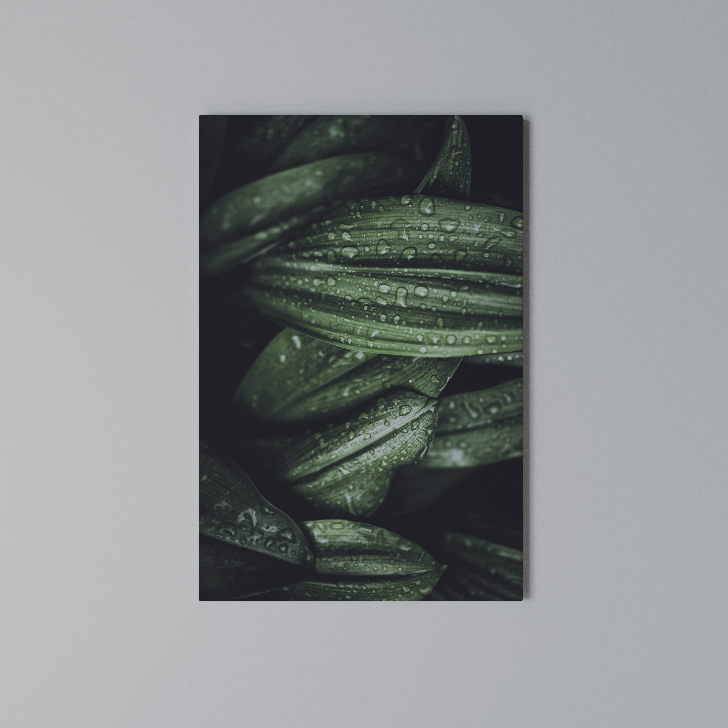 LUSH DROPLET DANCE Vertical Canvas Print