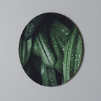 LUSH DROPLET DANCE Runde Wanddekoration Ø 69 cm