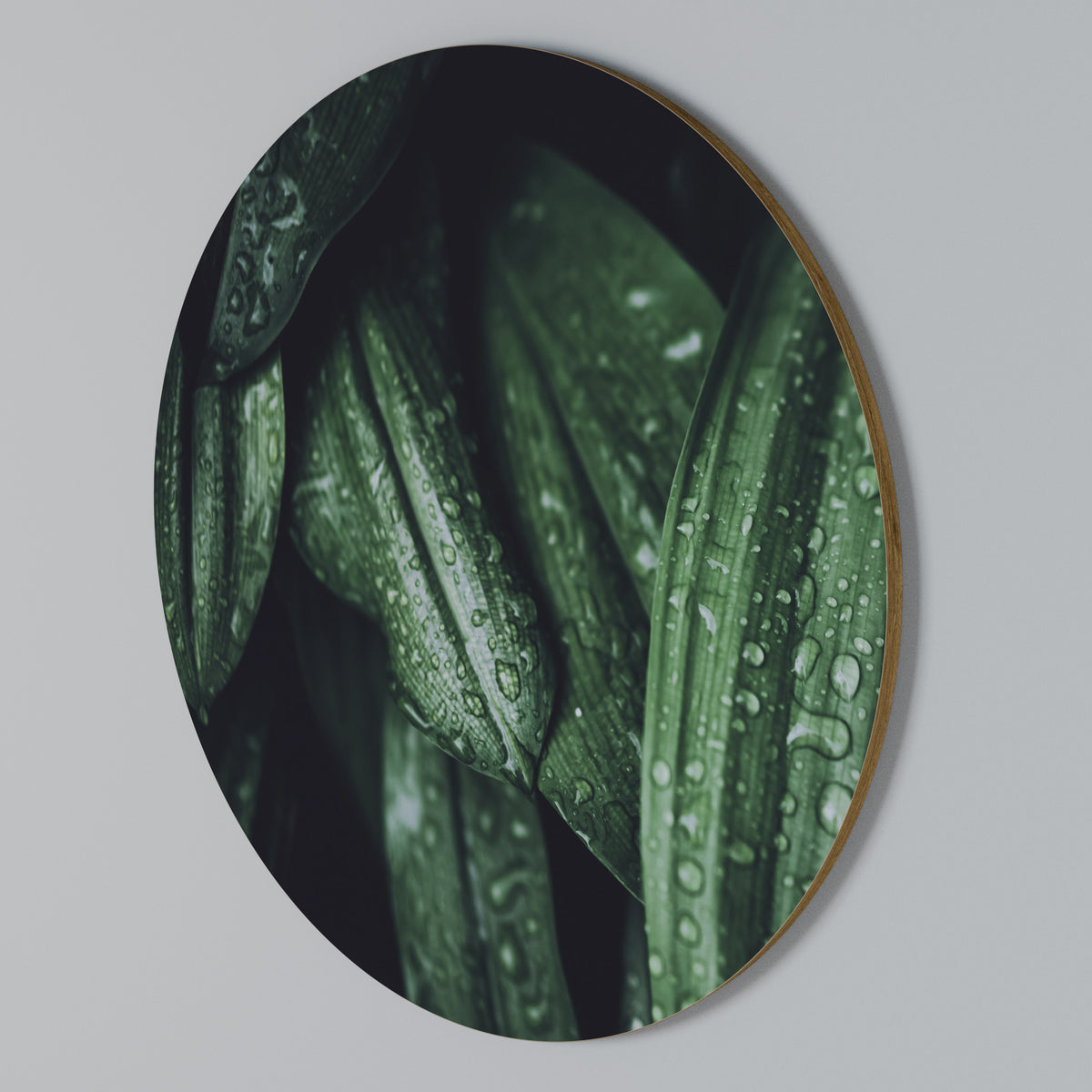 LUSH DROPLET DANCE Round Wall Art