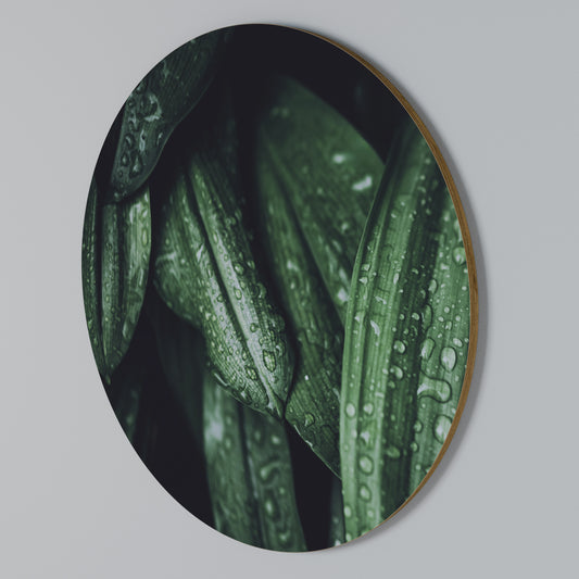 LUSH DROPLET DANCE Rundes Wandbild