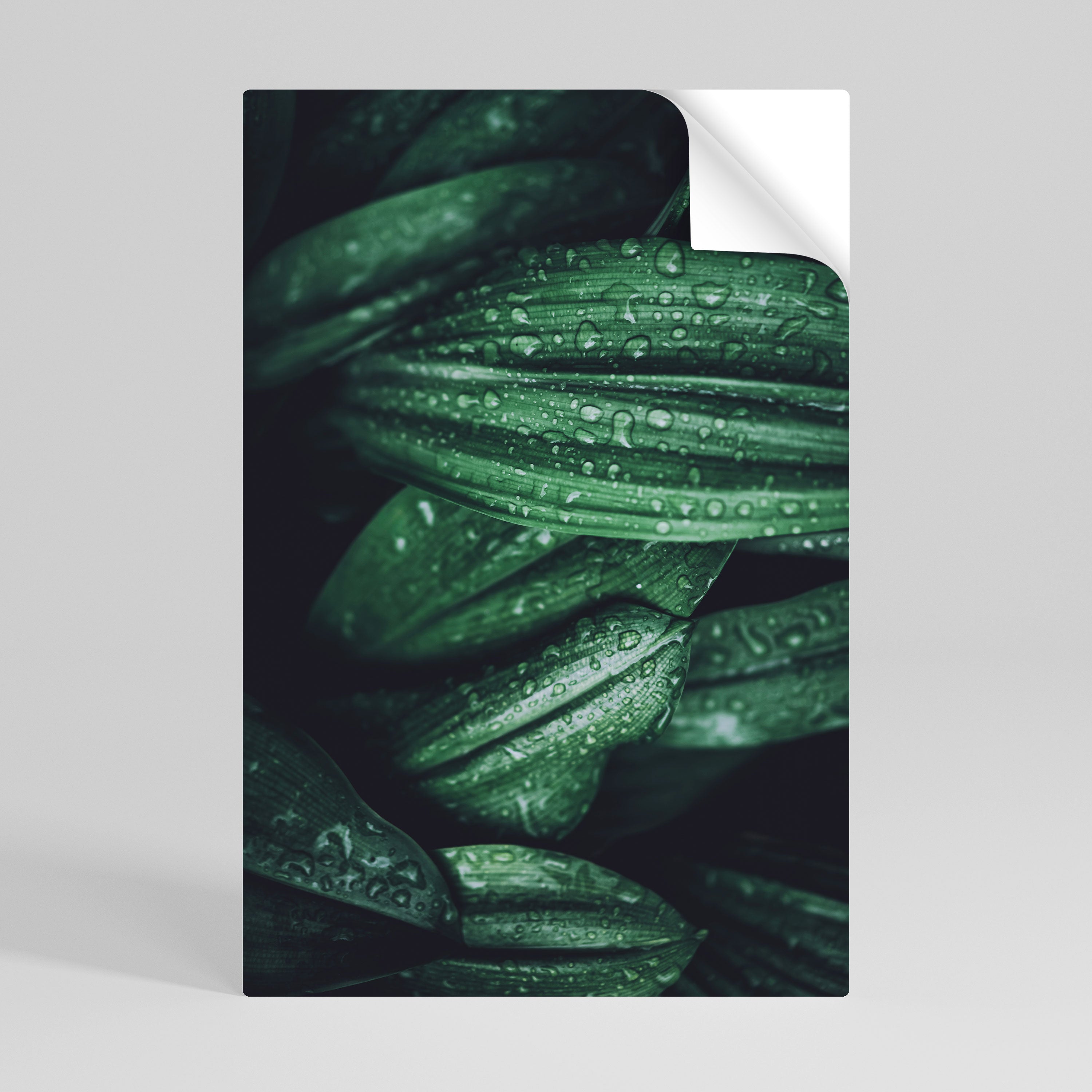 LUSH DROPLET DANCE Selbstklebendes Poster - Hochformat