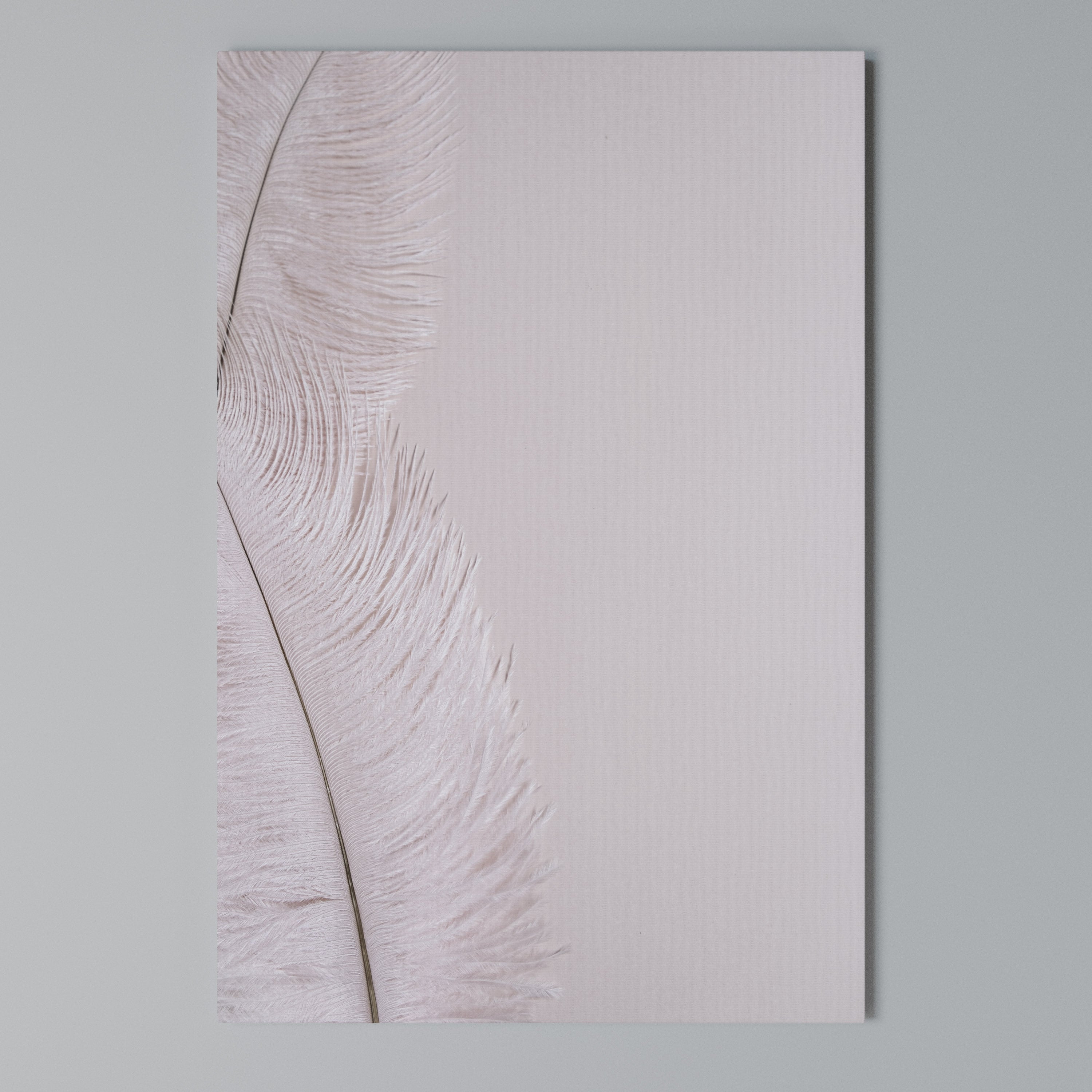 WHISPERING PINK FEATHERS Vertical Canvas Print
