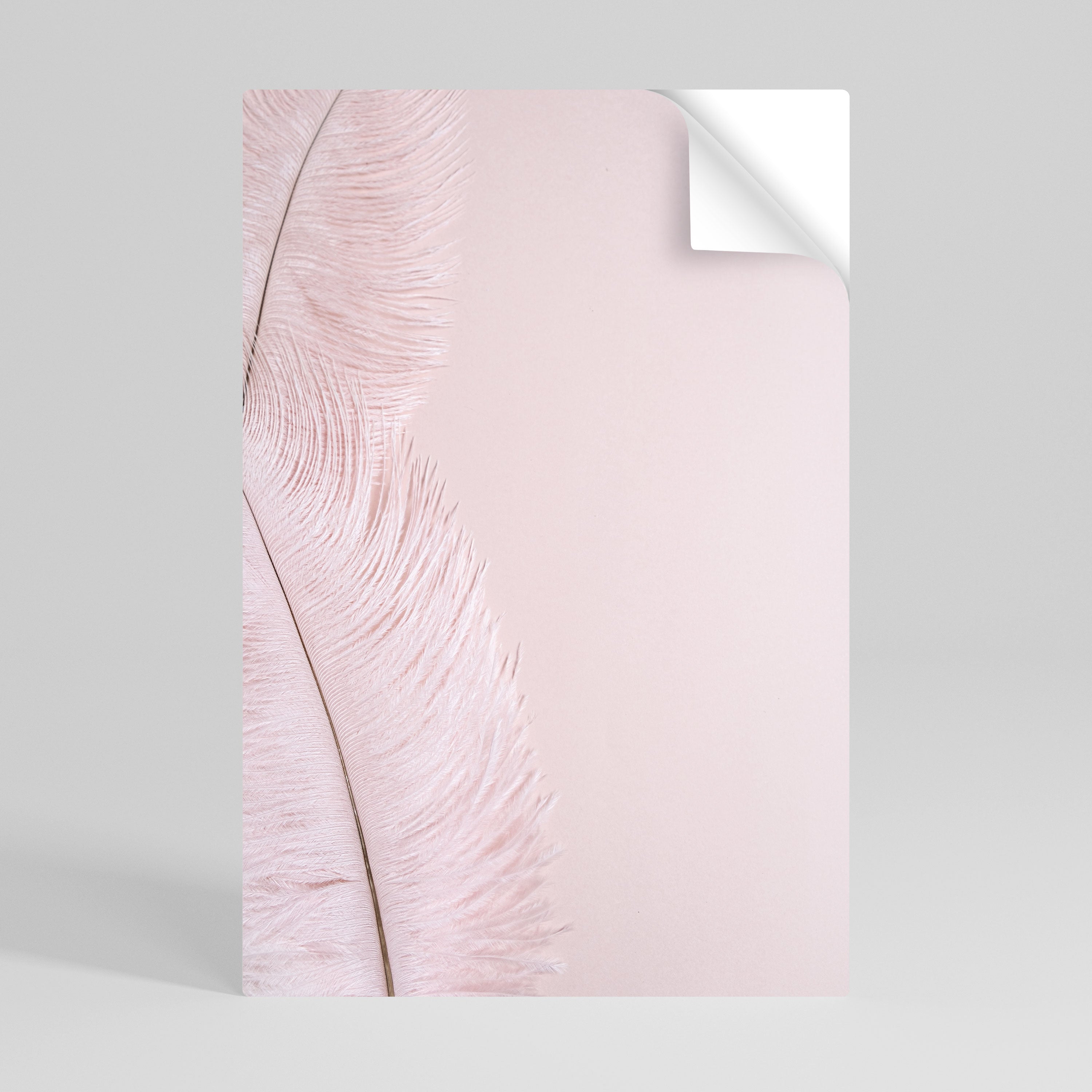 WHISPERING PINK FEATHERS Vertikales Poster zum Abziehen und Aufkleben