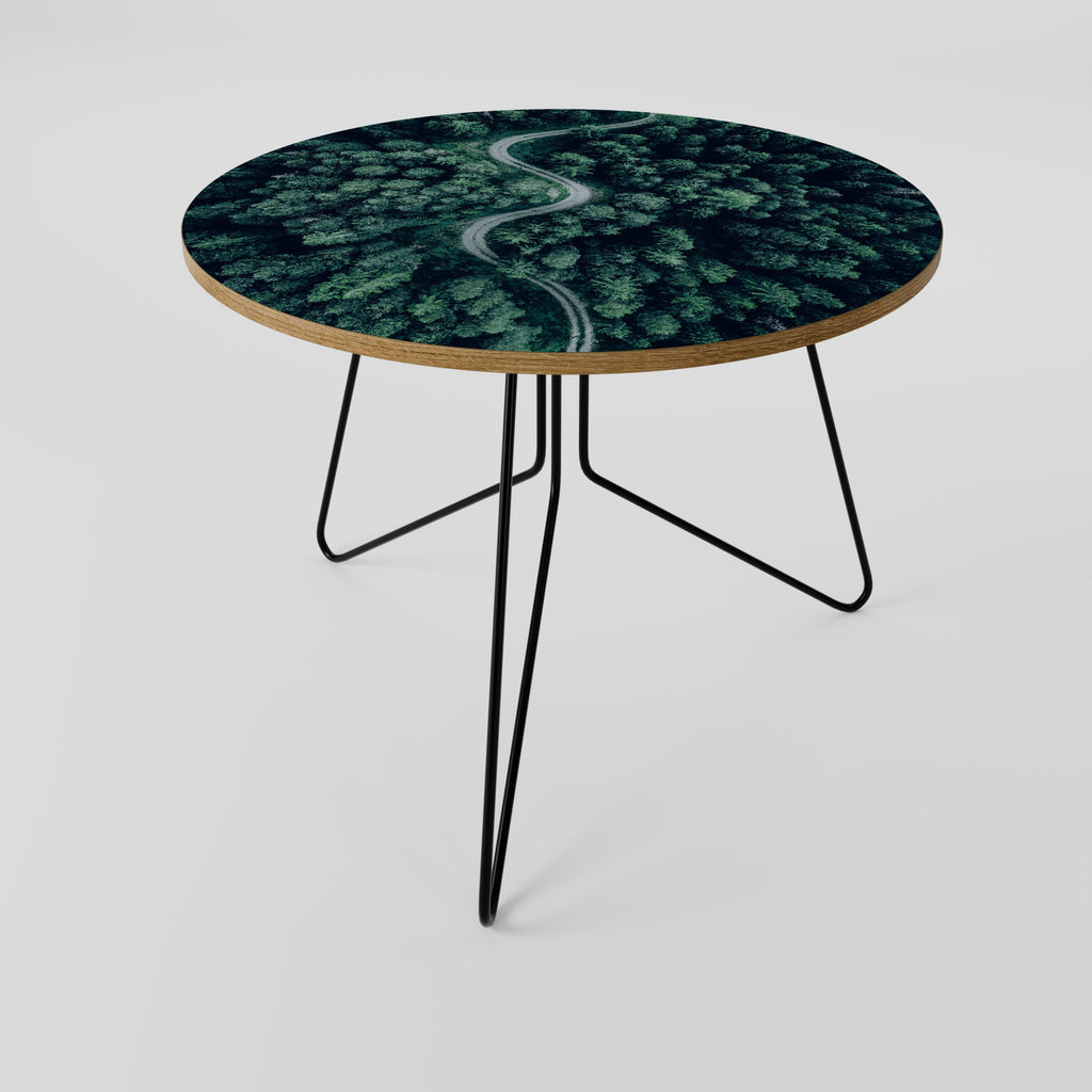 FORESTED SERPENTINE ROUTE Coffee Table 69