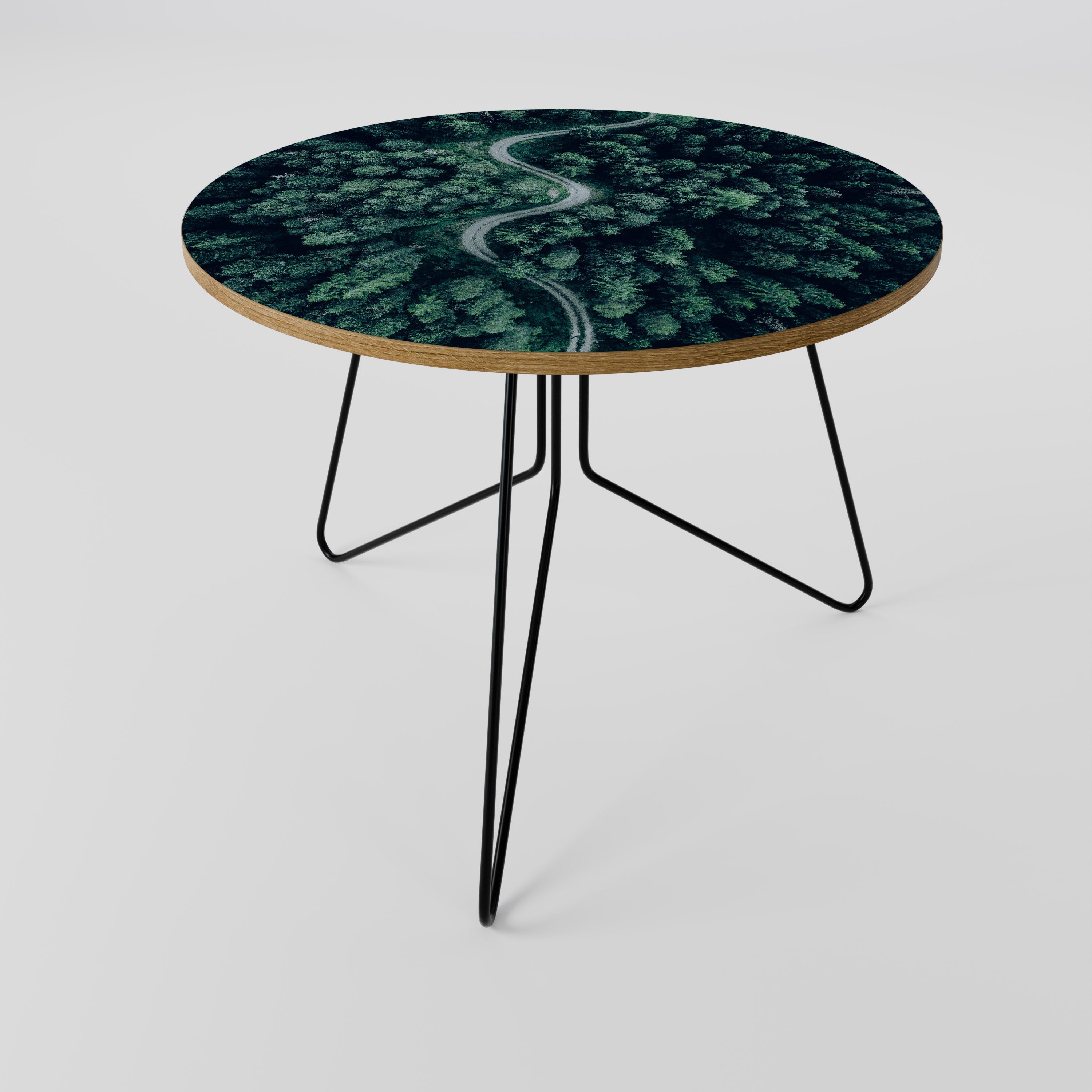 FORESTED SERPENTINE ROUTE Coffee Table 69