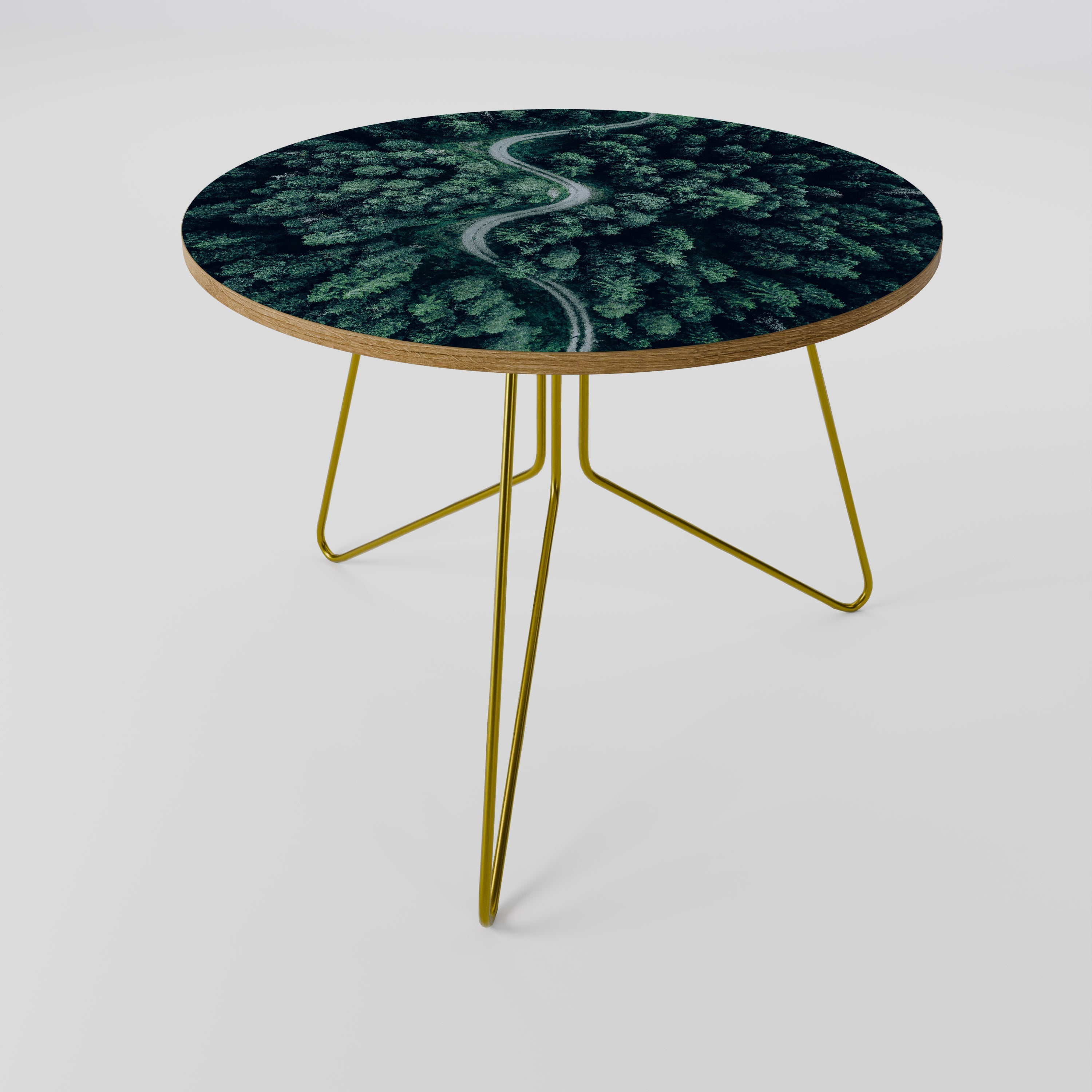 FORESTED SERPENTINE ROUTE Coffee Table 69