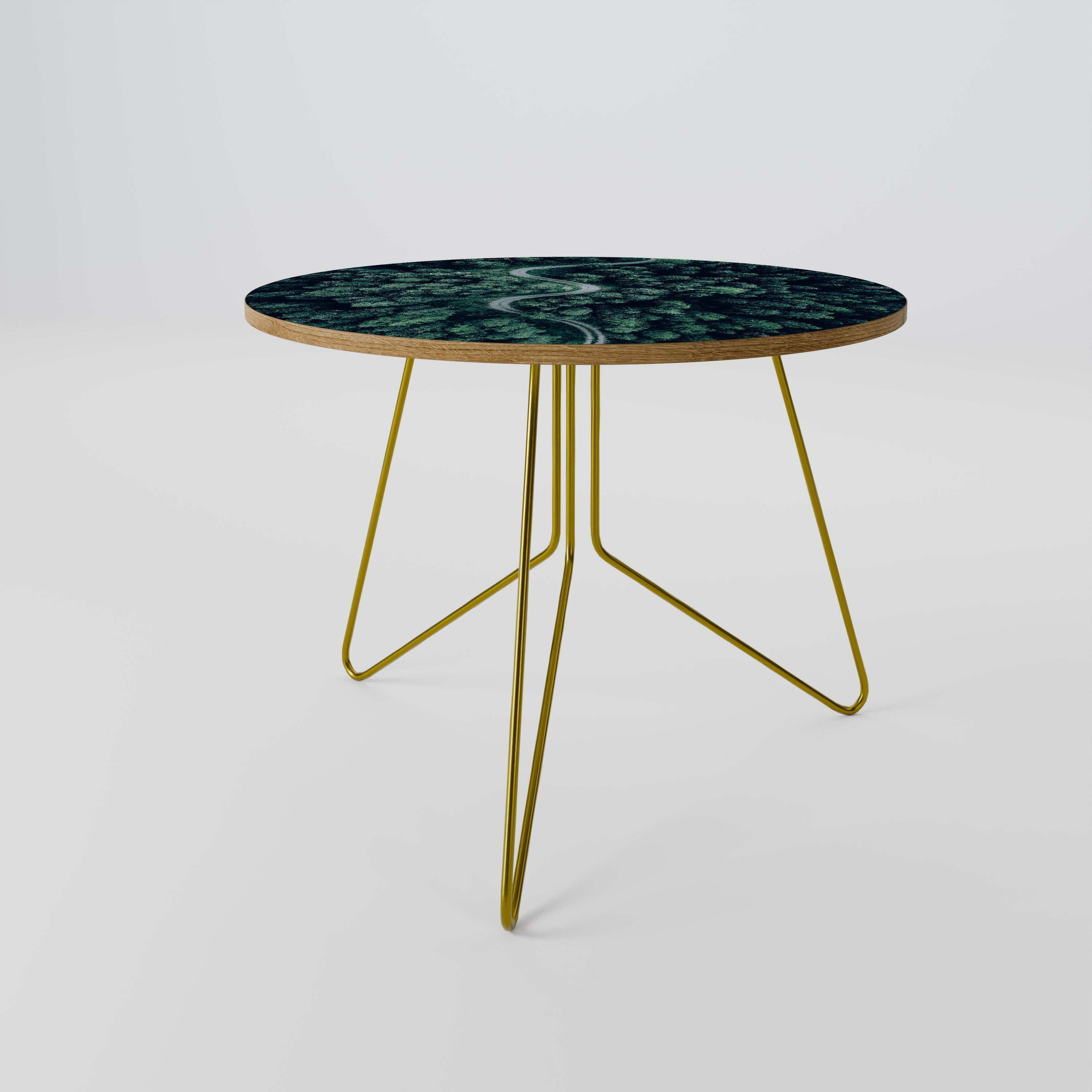 FORESTED SERPENTINE ROUTE Coffee Table 69