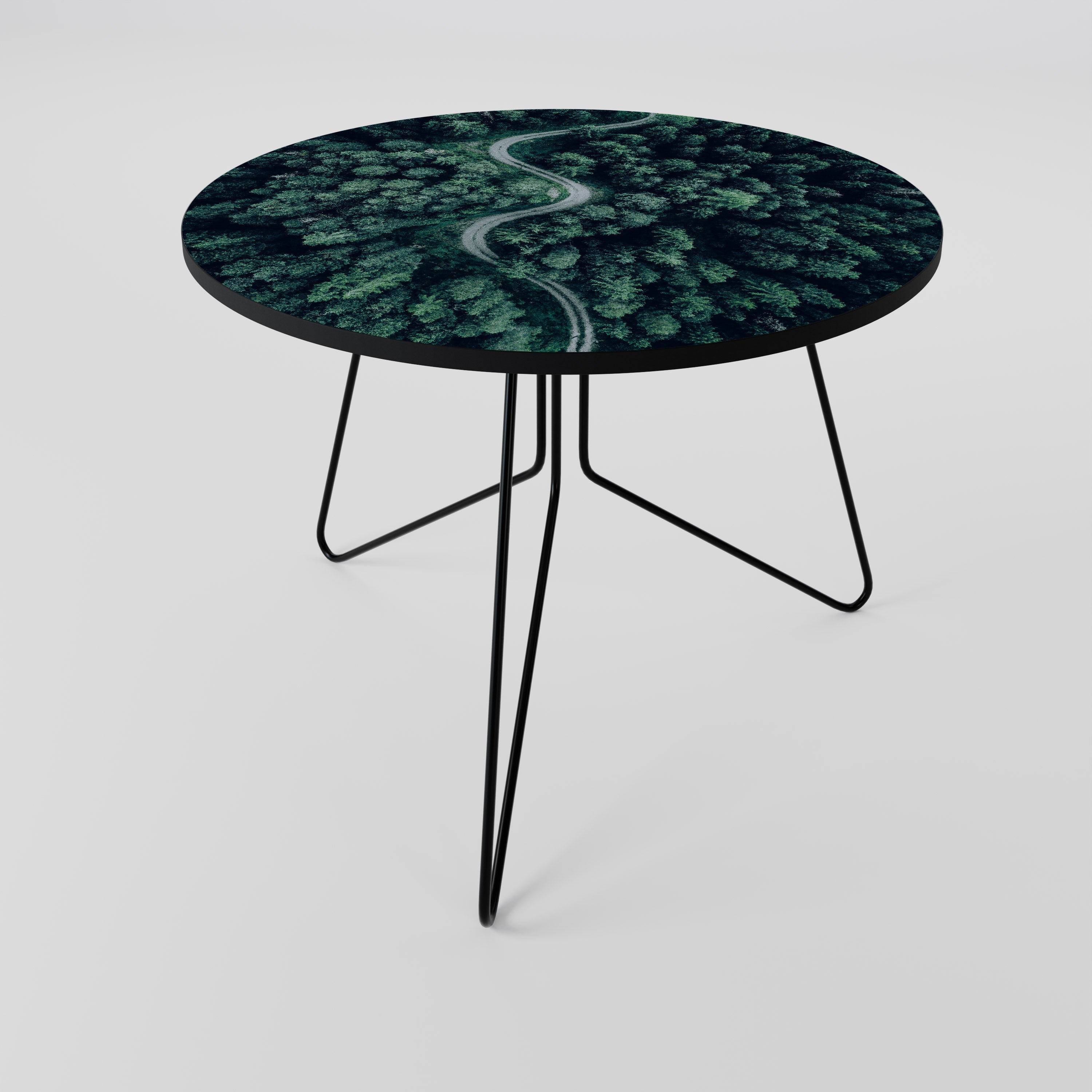 FORESTED SERPENTINE ROUTE Coffee Table 69