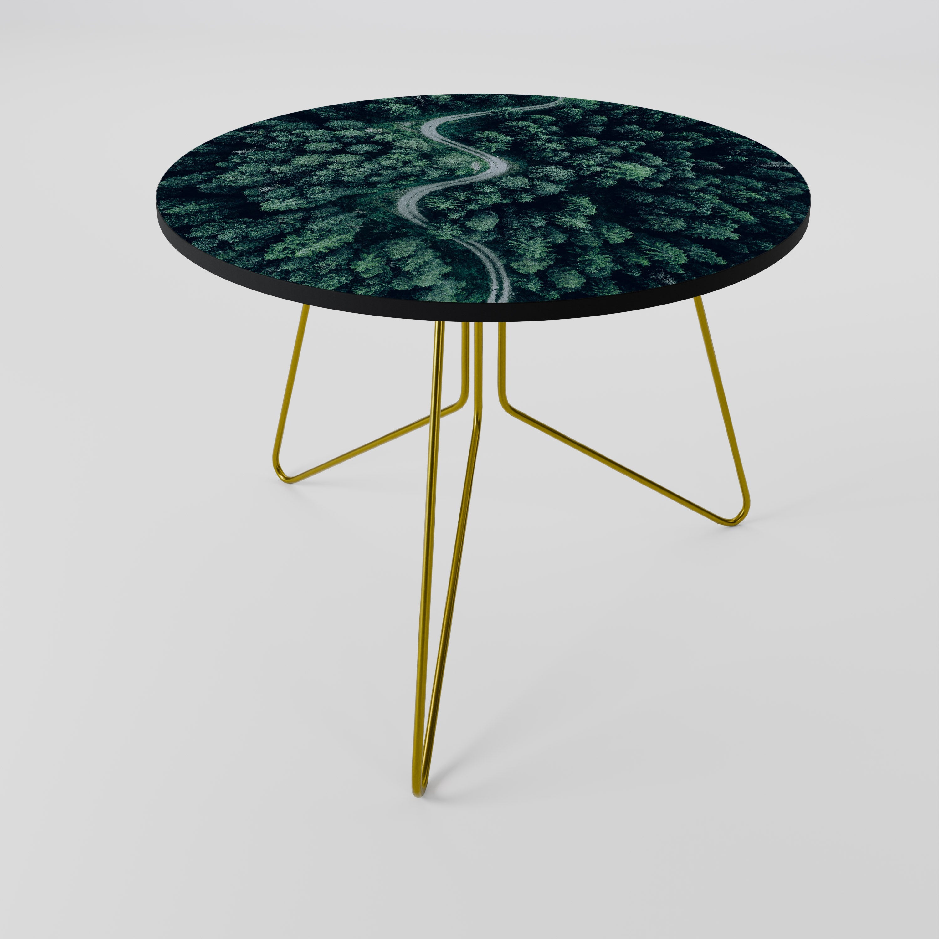 FORESTED SERPENTINE ROUTE Coffee Table 69