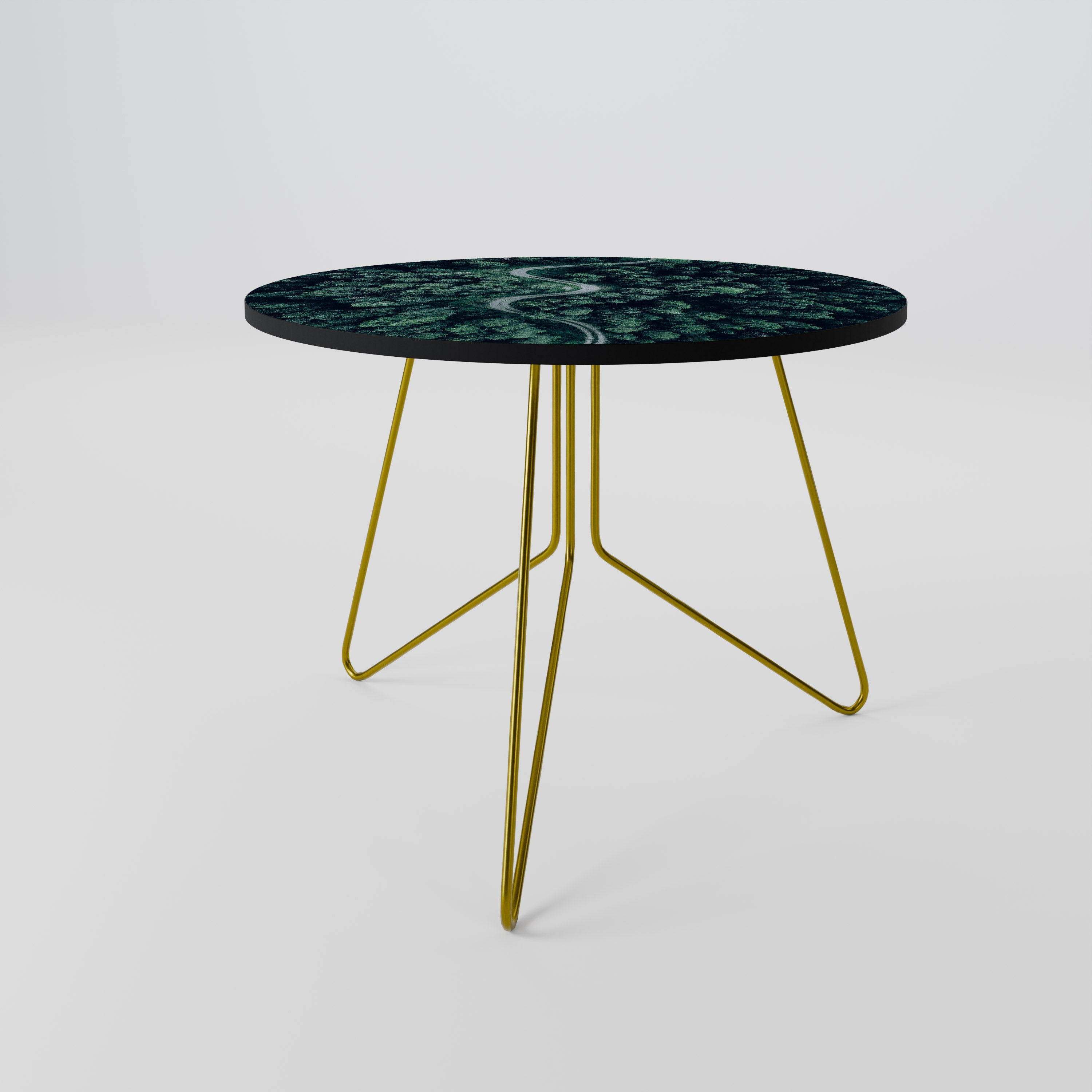 FORESTED SERPENTINE ROUTE Coffee Table 69