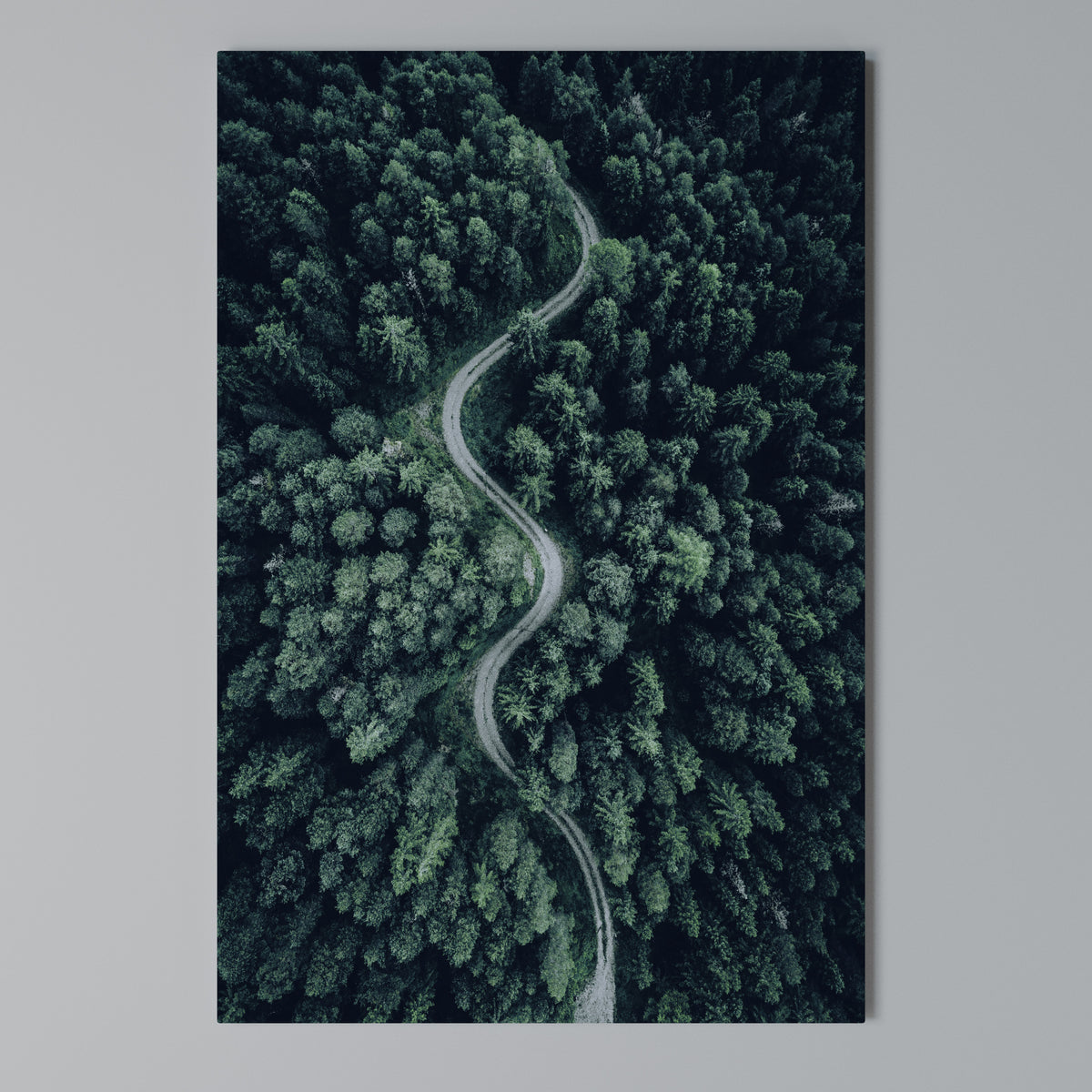FORESTED SERPENTINE ROUTE Vertical Canvas Print