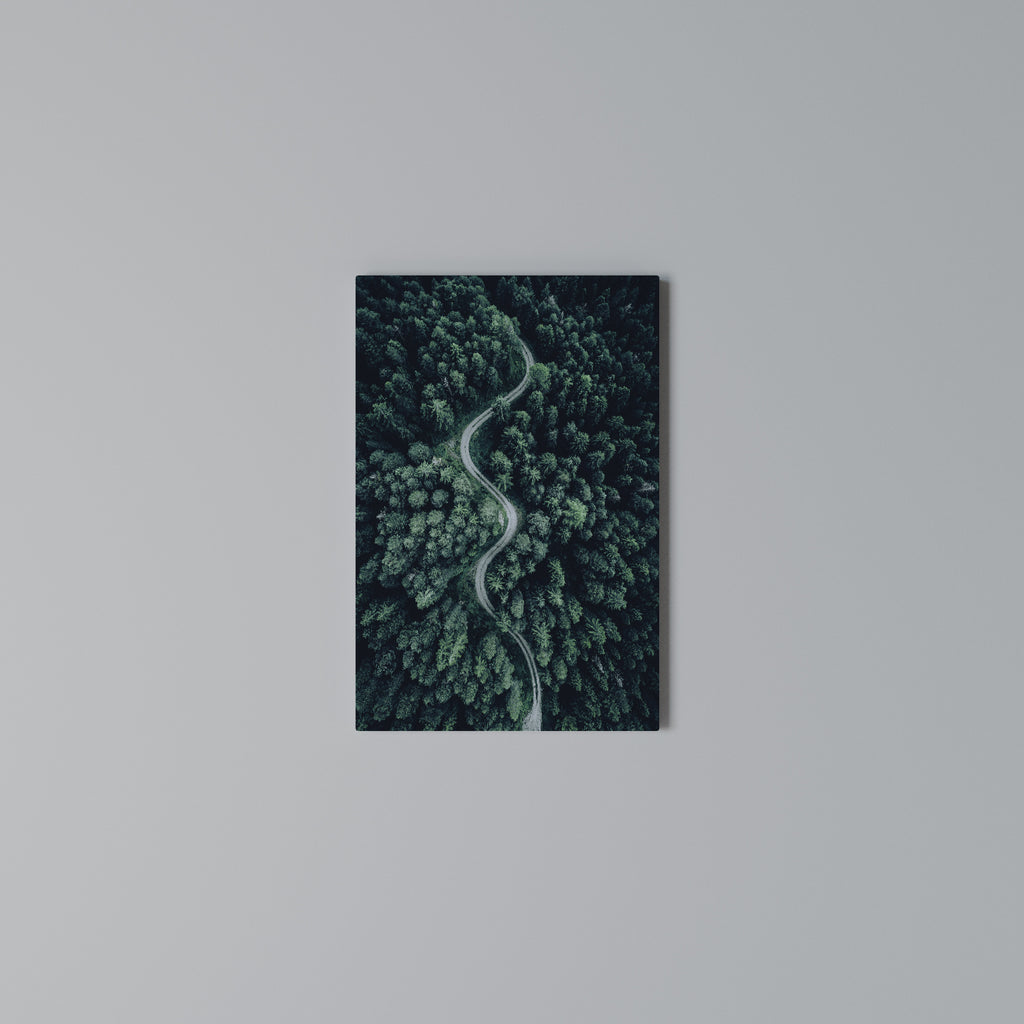 FORESTED SERPENTINE ROUTE Vertical Canvas Print