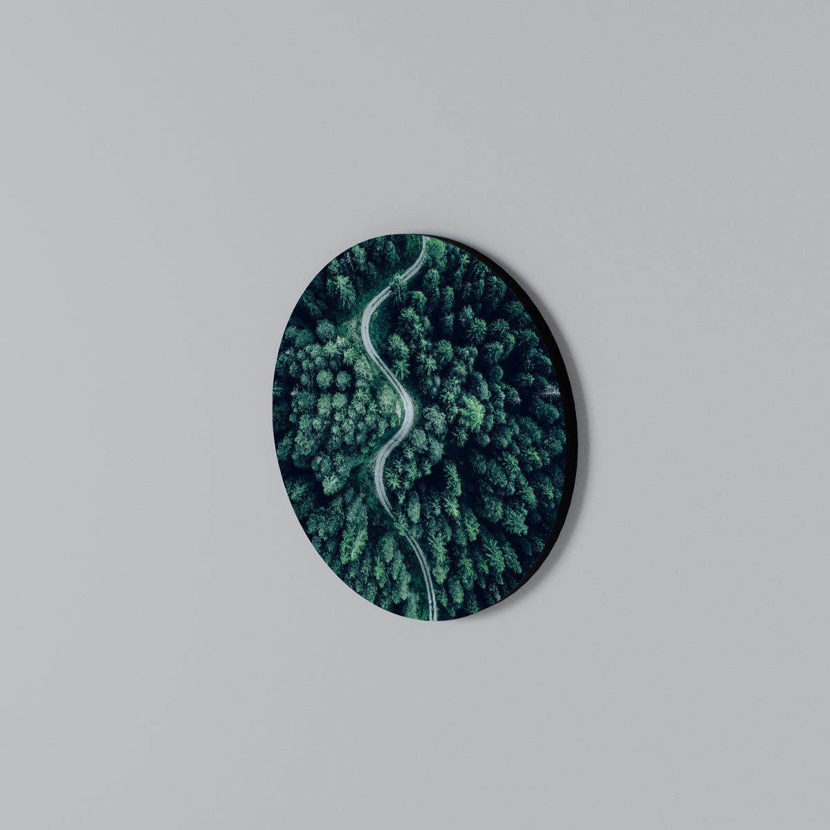 FORESTED SERPENTINE ROUTE Rundes Wandbild