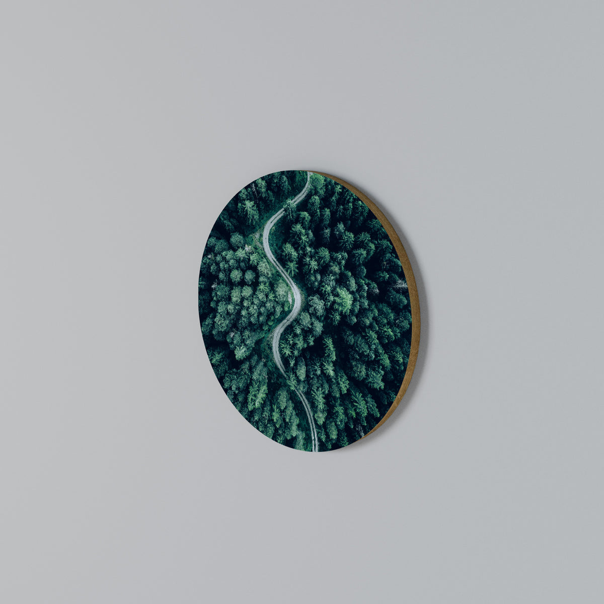 FORESTED SERPENTINE ROUTE Rundes Wandbild