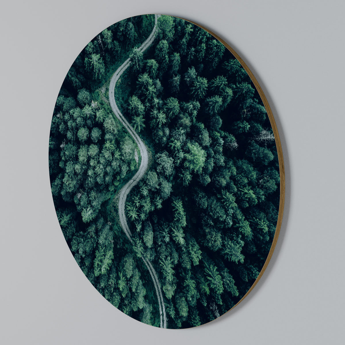 FORESTED SERPENTINE ROUTE Rundes Wandbild