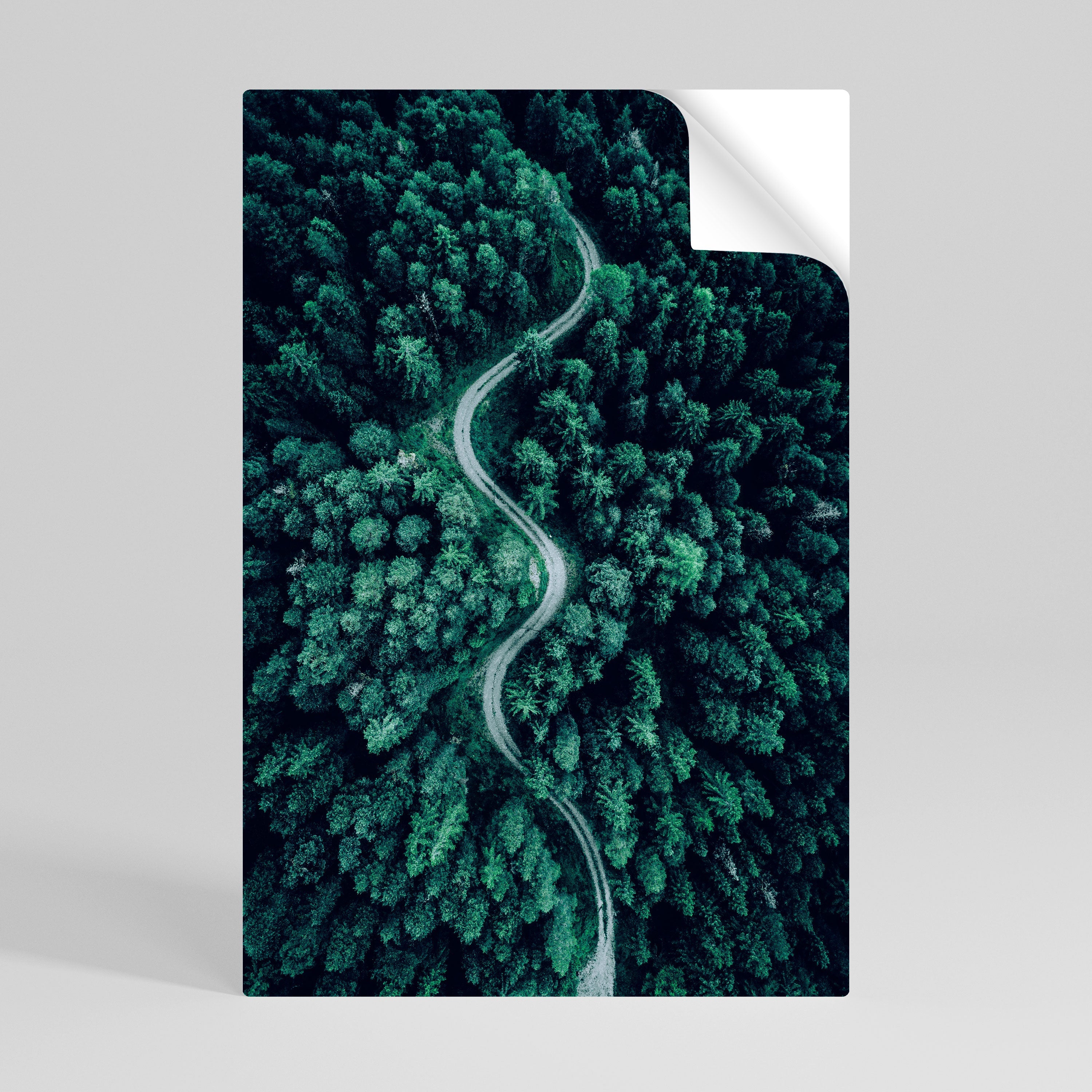 FORESTED SERPENTINE ROUTE Vertikales Poster zum Abziehen und Aufkleben