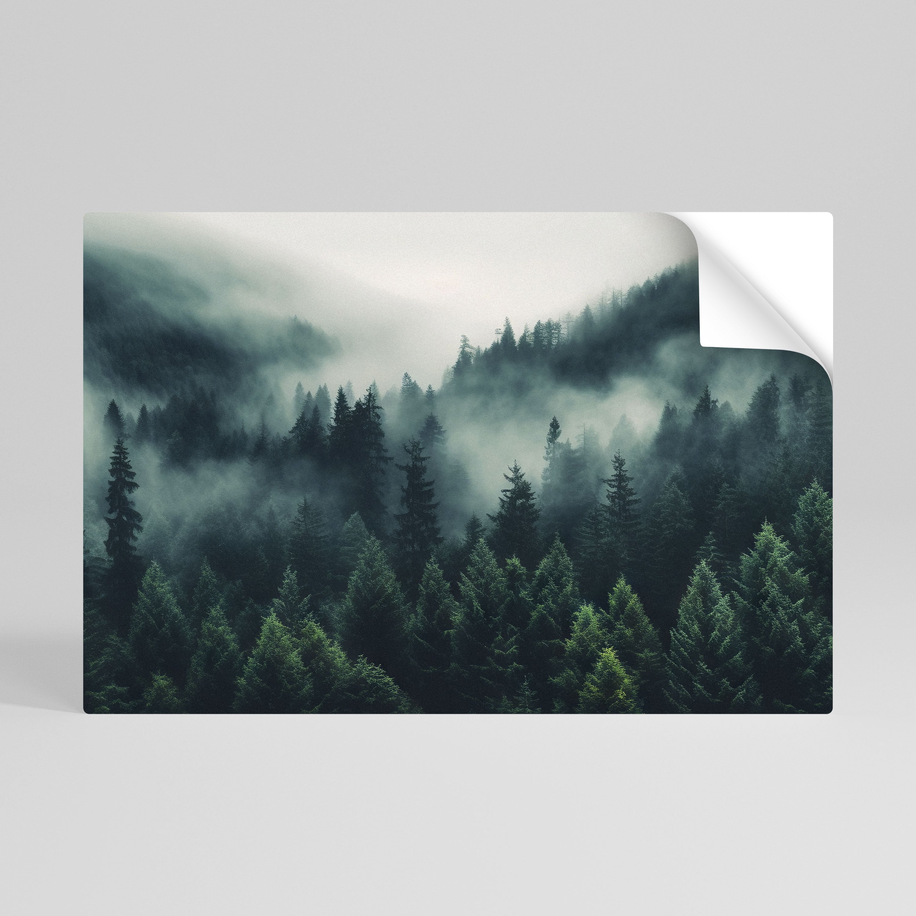 MYSTICAL FOREST WHISPERS Selbstklebendes Horizontal-Poster