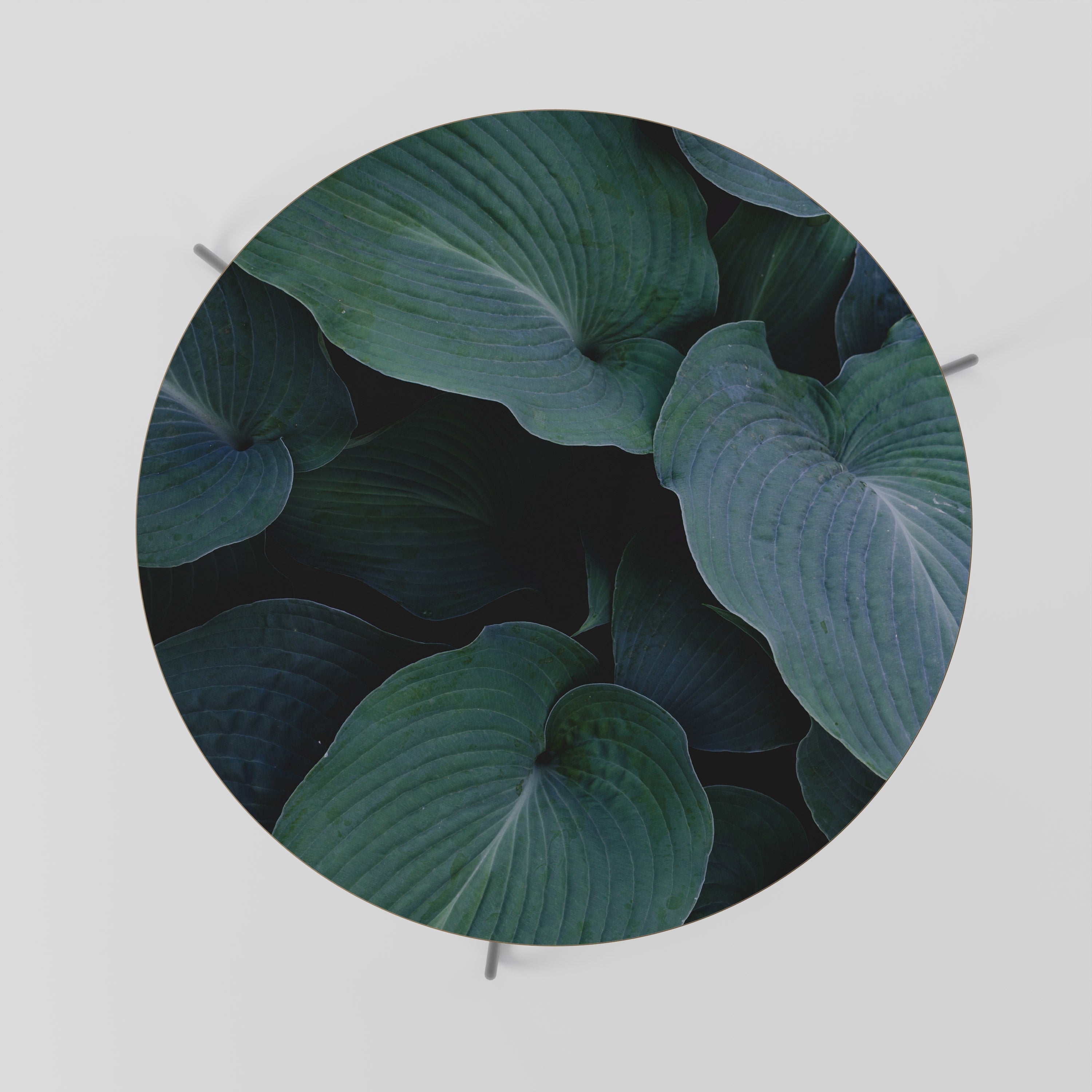ENCHANTED FOLIAGE DANCE Coffee Table 69