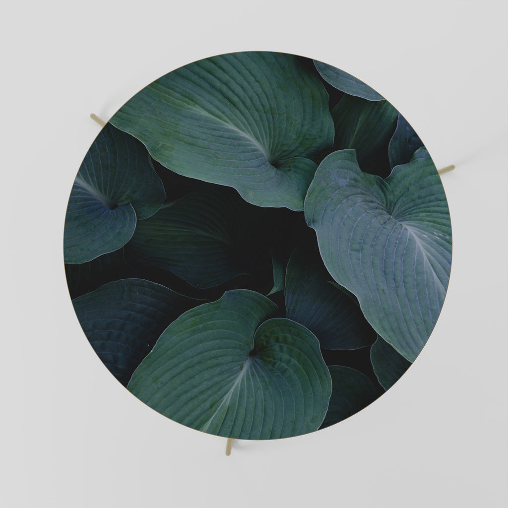 ENCHANTED FOLIAGE DANCE Coffee Table 69