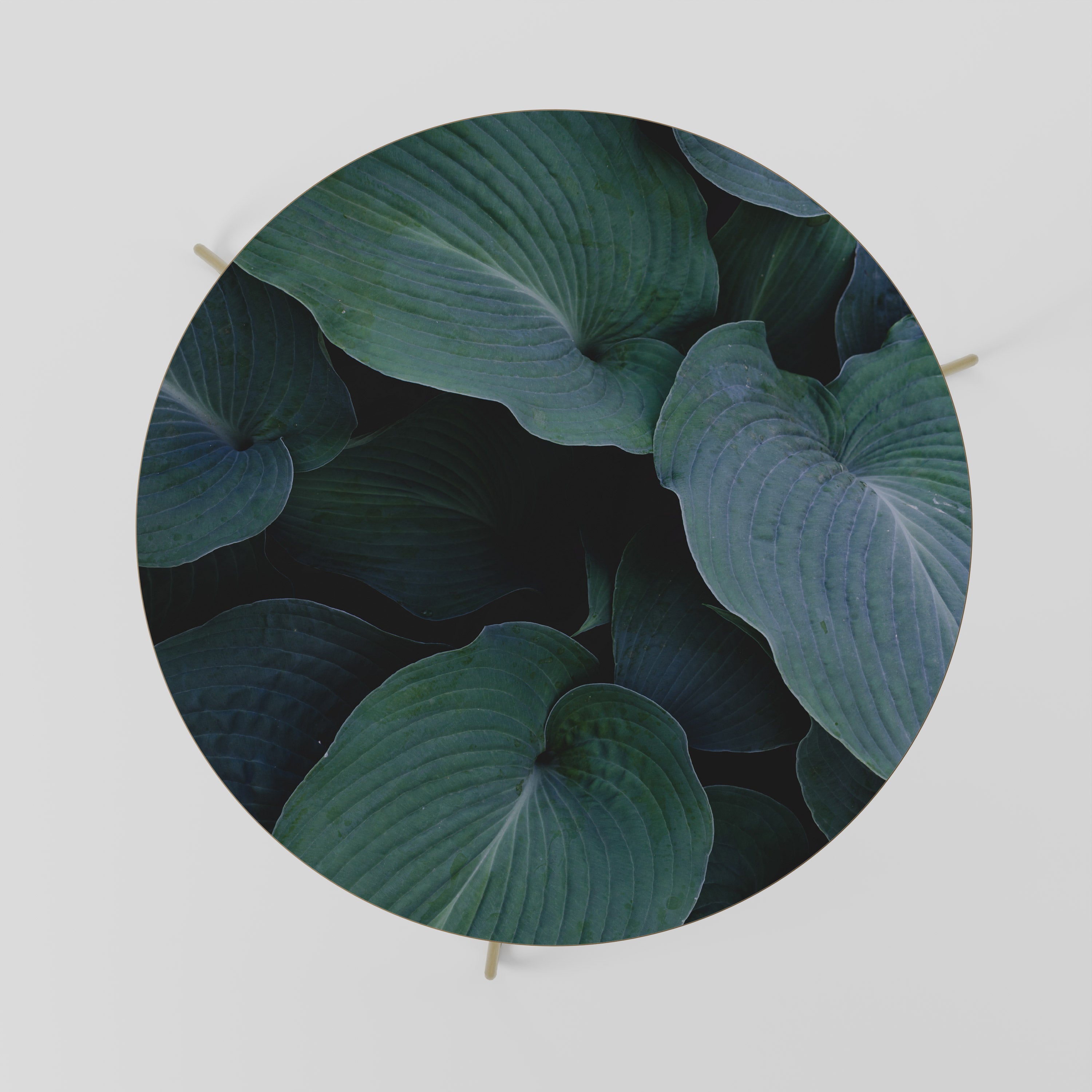 ENCHANTED FOLIAGE DANCE Coffee Table 69