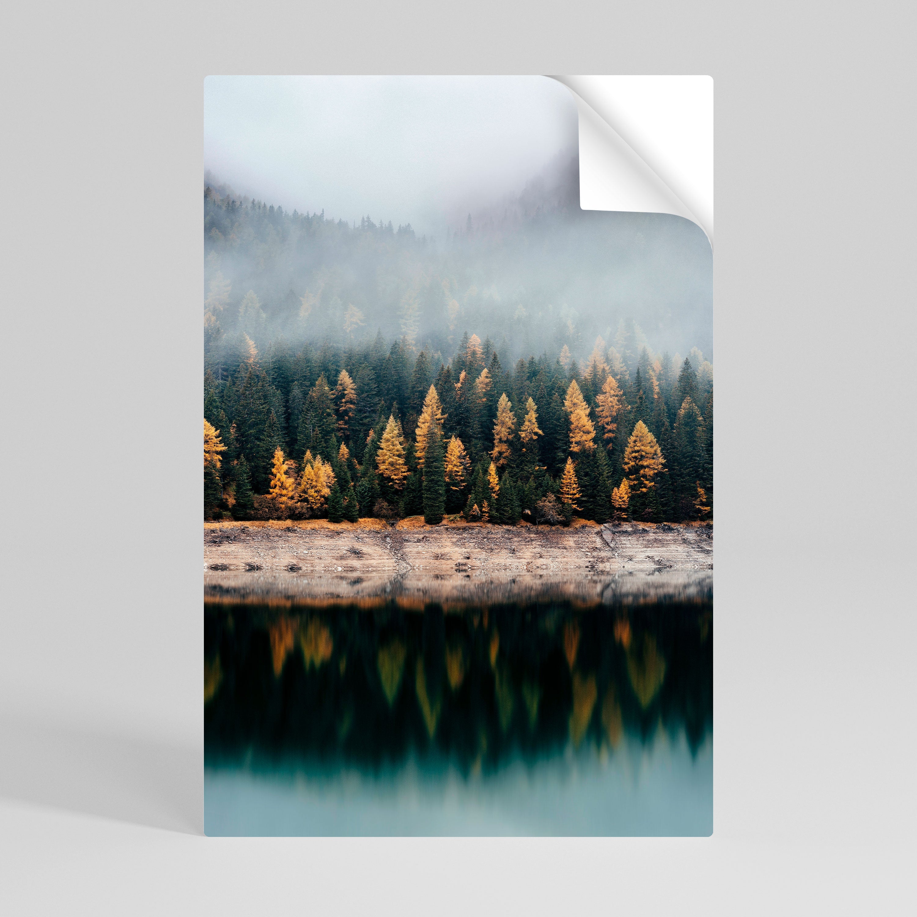Goldene Bäume im Nebel, vertikales Poster zum Abziehen und Aufkleben