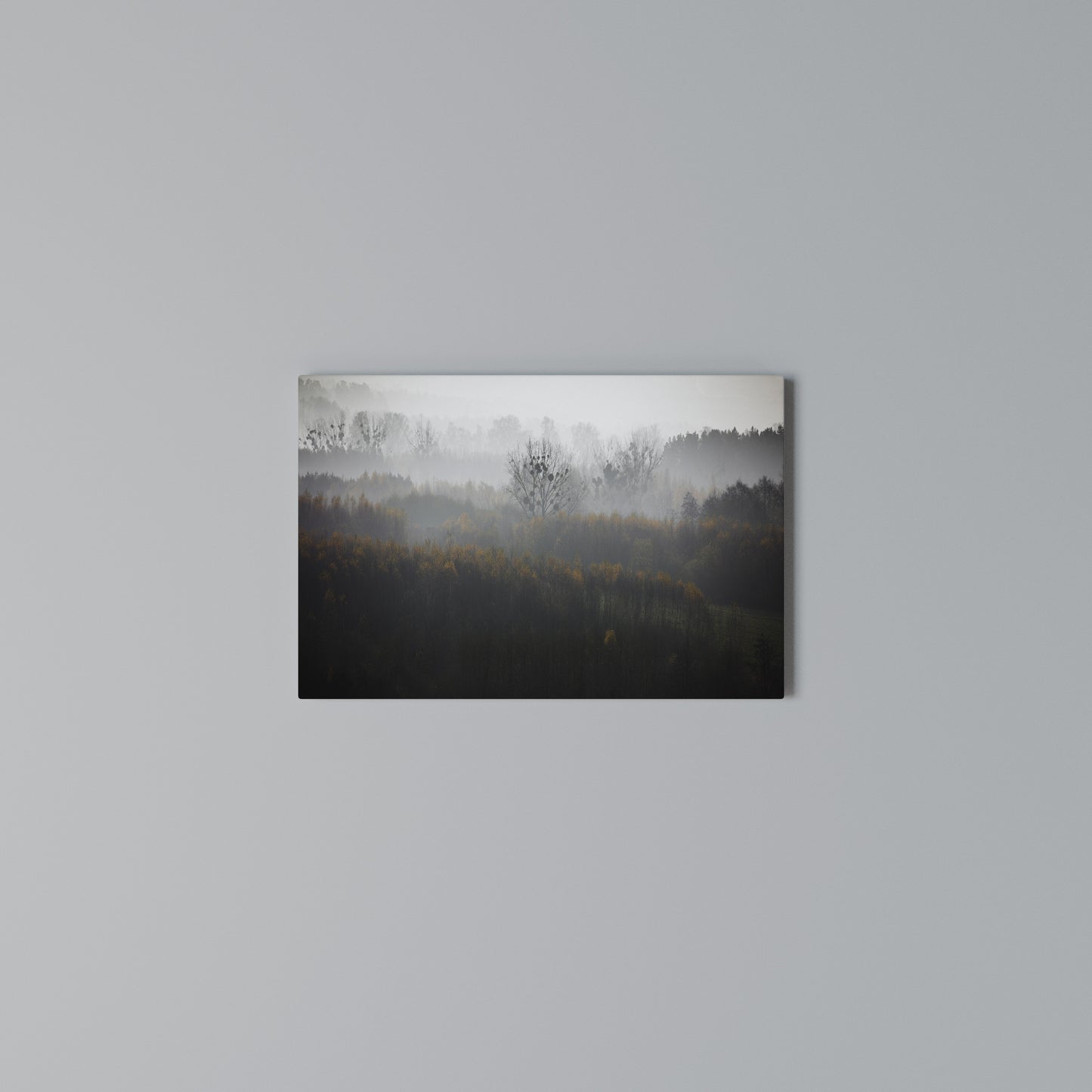 AUTUMNAL HAZE Horizontal Canvas Print